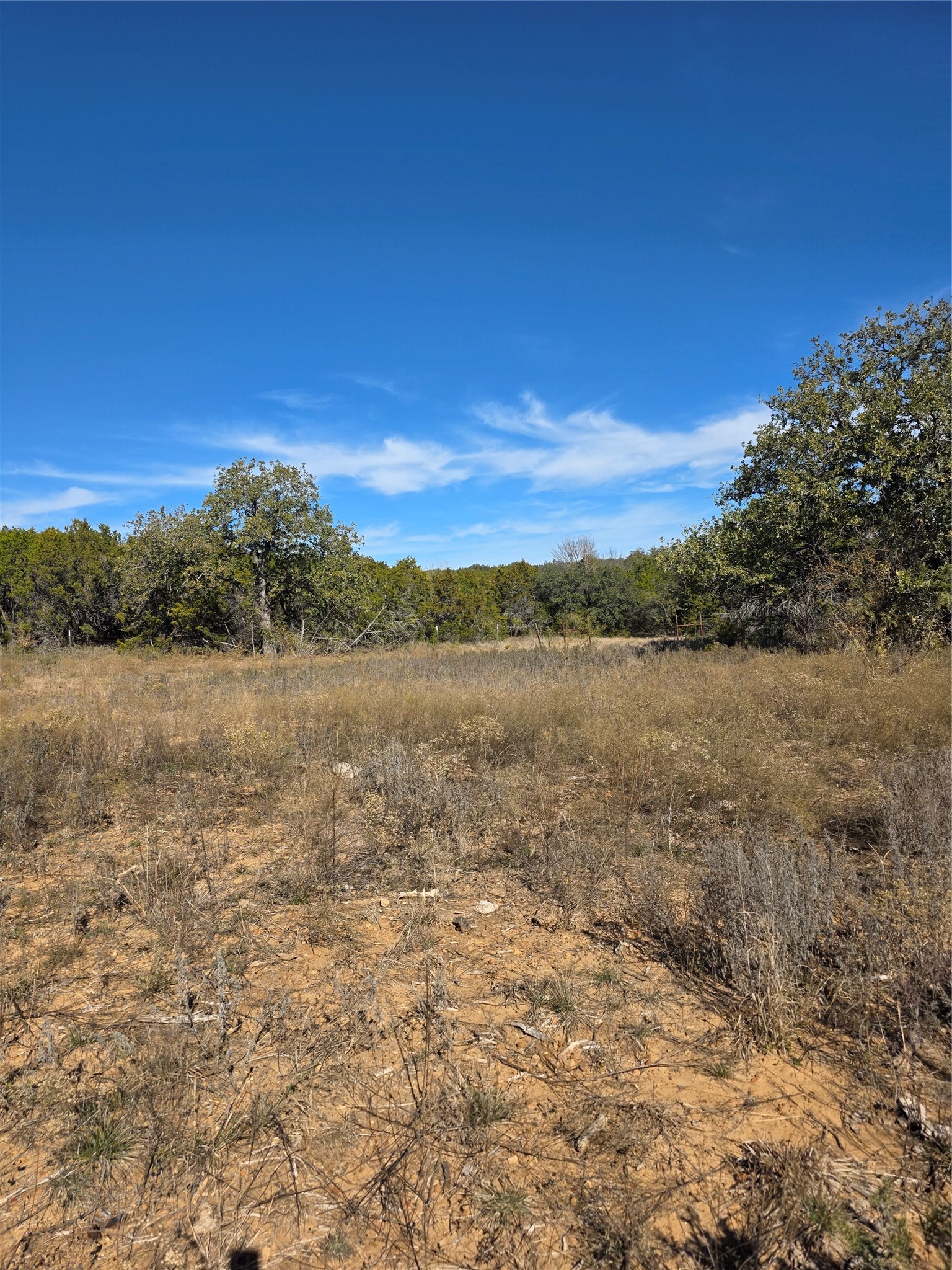 242.442 Acres Mc Clure Ranch Road Gordon TX 76453