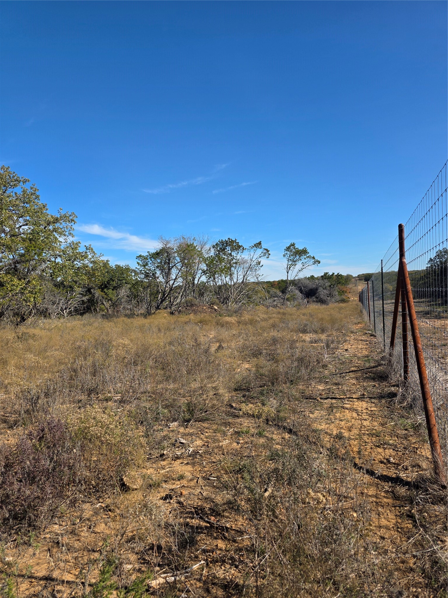 242.442 Acres Mc Clure Ranch Road Gordon TX 76453