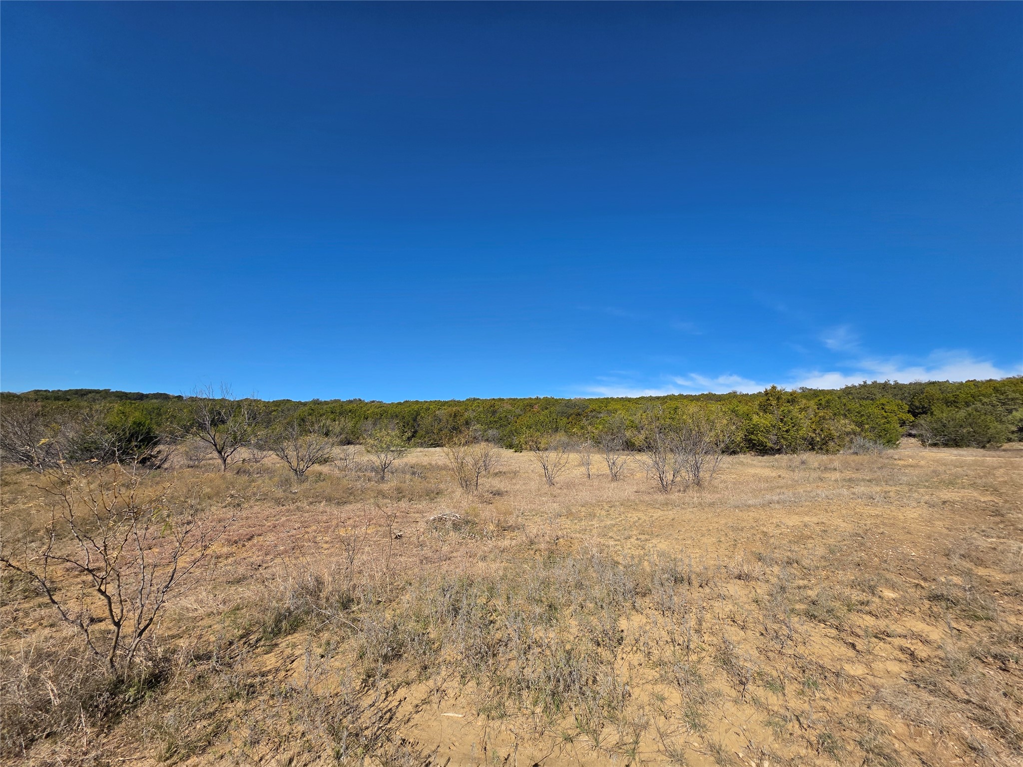 242.442 Acres Mc Clure Ranch Road Gordon TX 76453