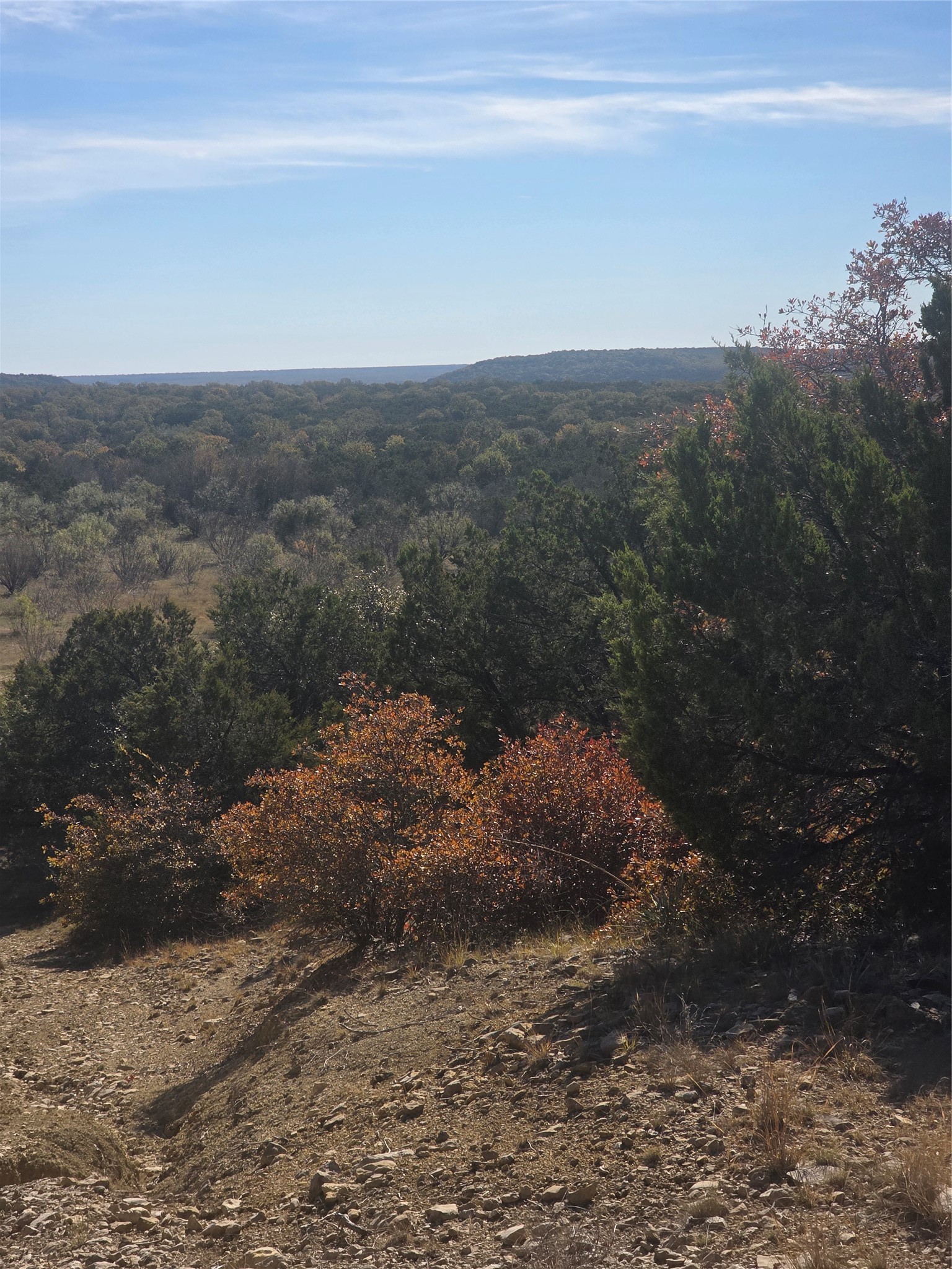 242.442 Acres Mc Clure Ranch Road Gordon TX 76453