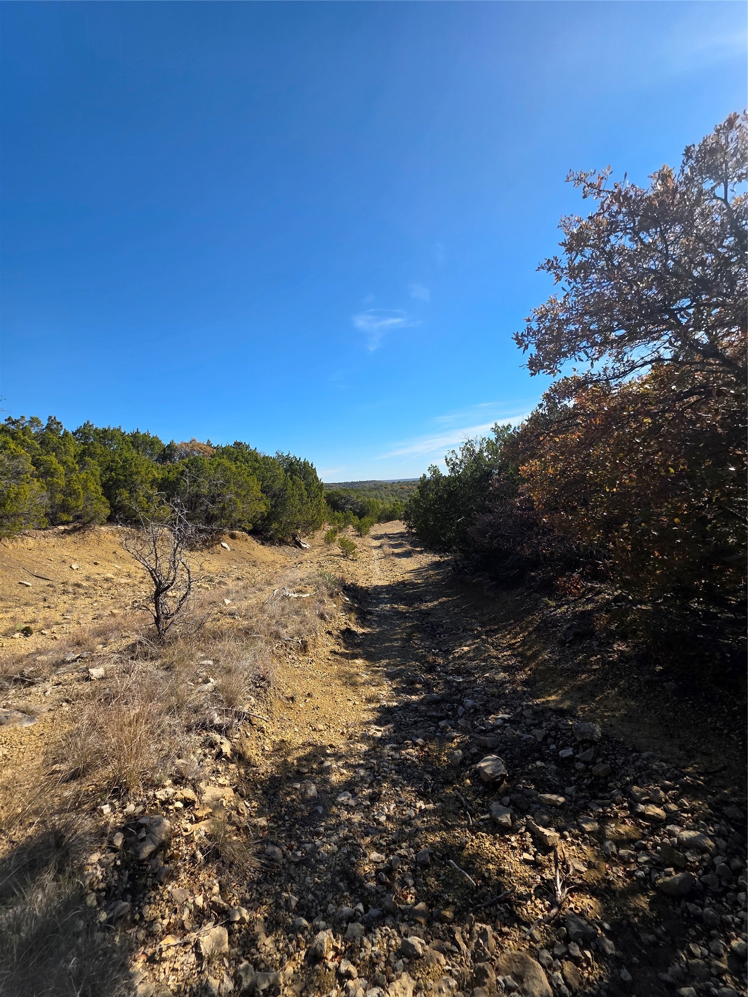 242.442 Acres Mc Clure Ranch Road Gordon TX 76453