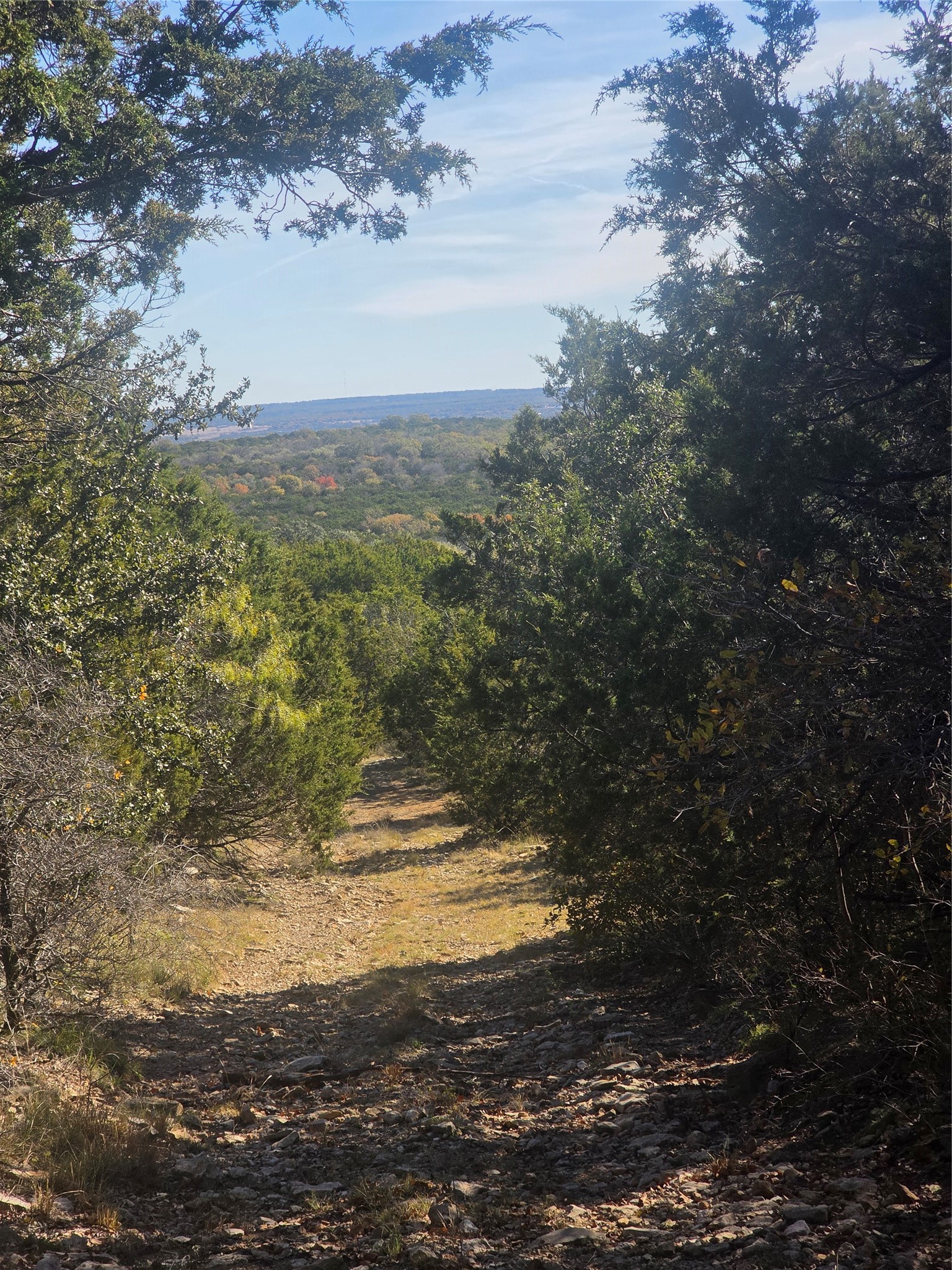 242.442 Acres Mc Clure Ranch Road Gordon TX 76453