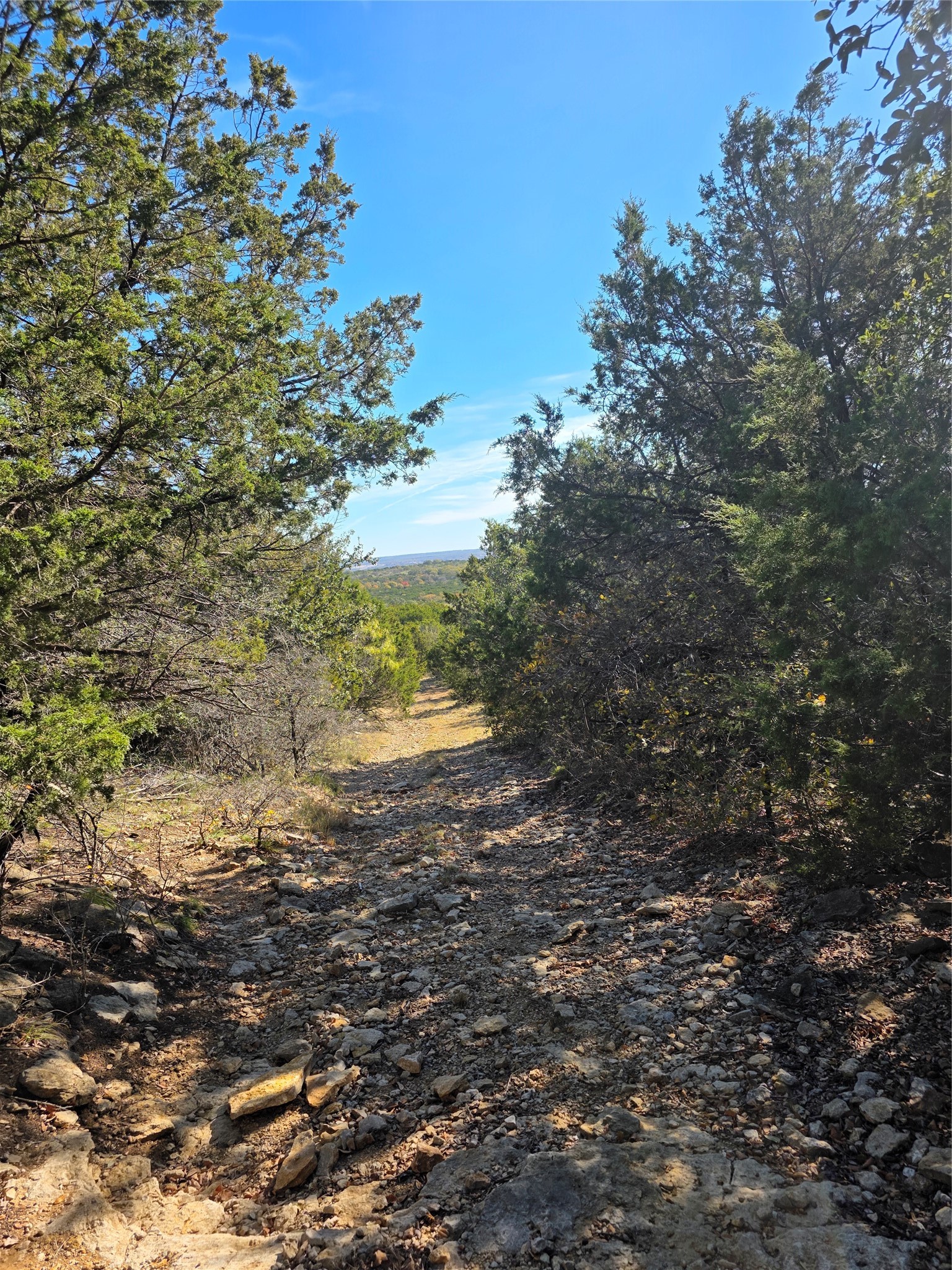 242.442 Acres Mc Clure Ranch Road Gordon TX 76453