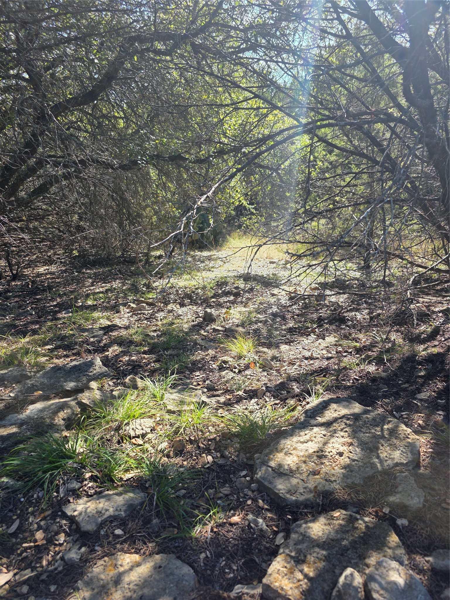 242.442 Acres Mc Clure Ranch Road Gordon TX 76453