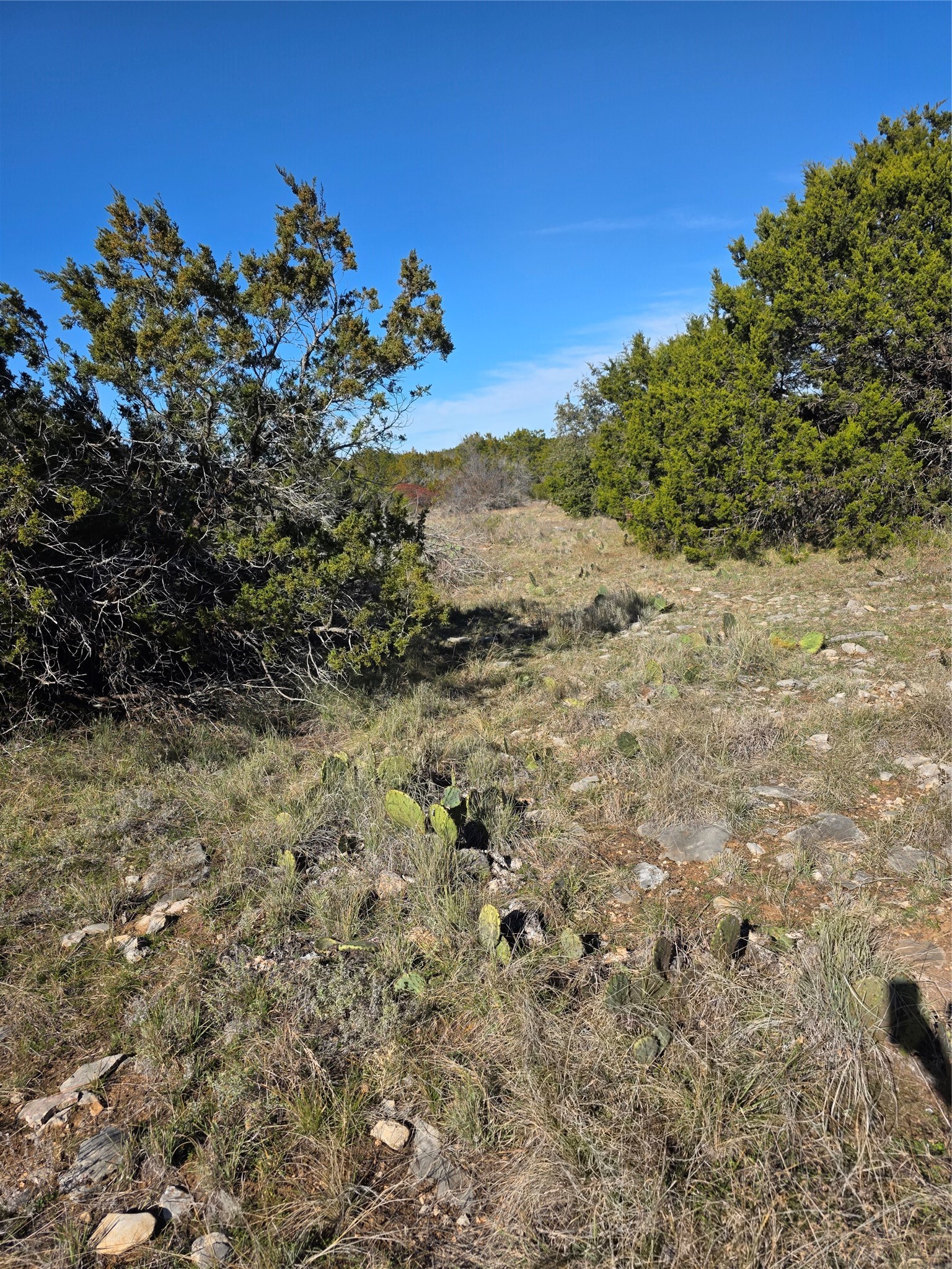 242.442 Acres Mc Clure Ranch Road Gordon TX 76453