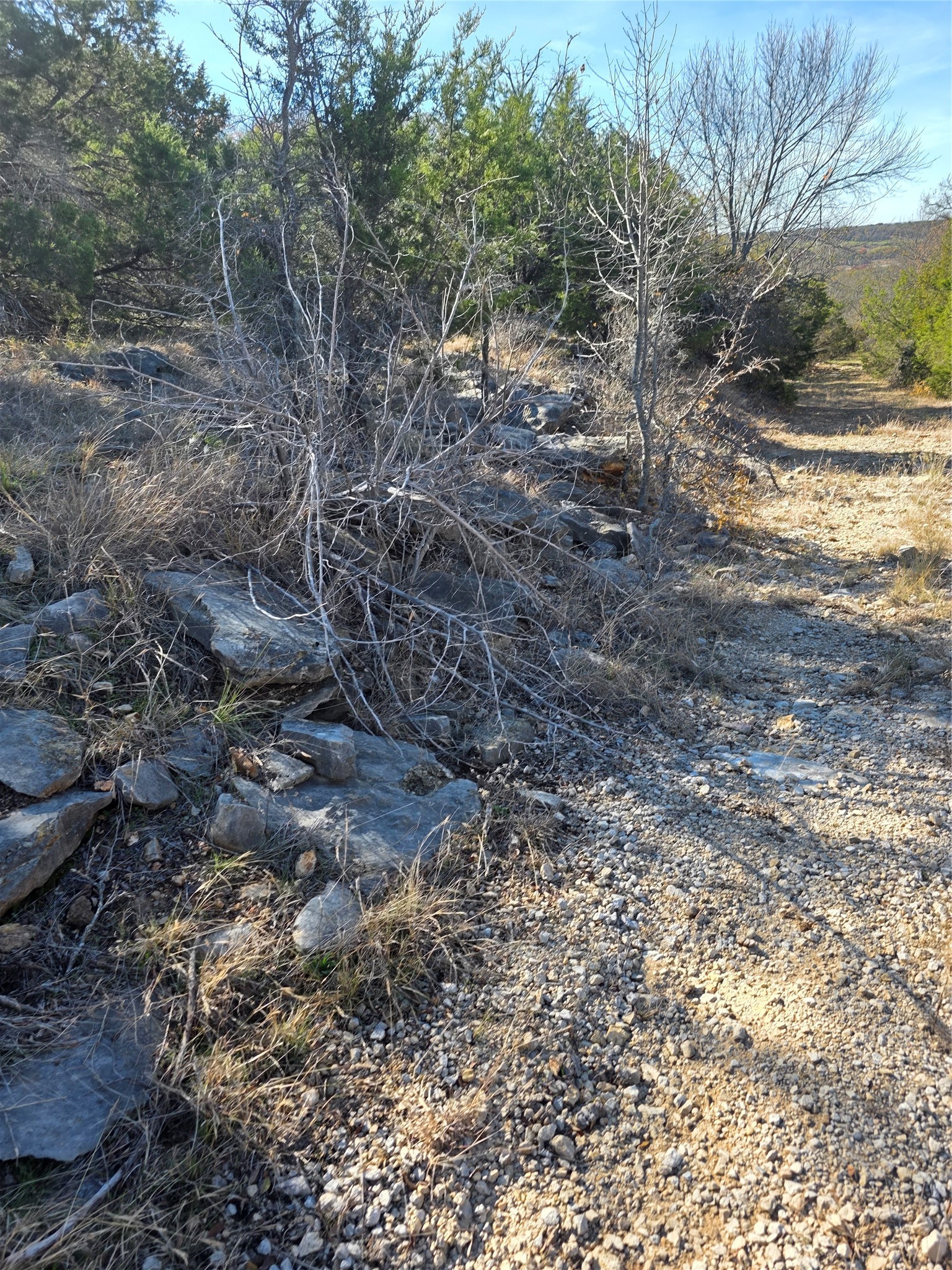 242.442 Acres Mc Clure Ranch Road Gordon TX 76453