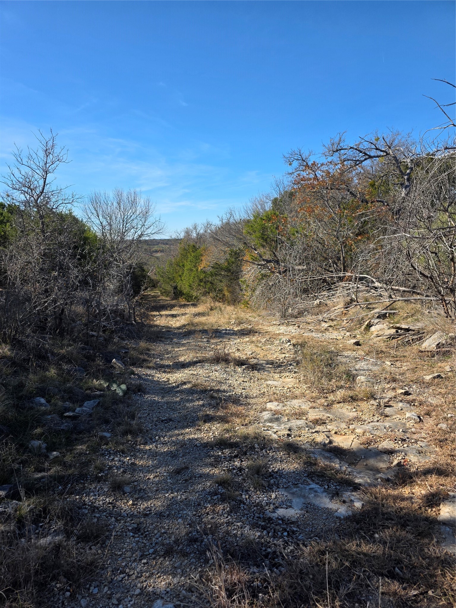 242.442 Acres Mc Clure Ranch Road Gordon TX 76453