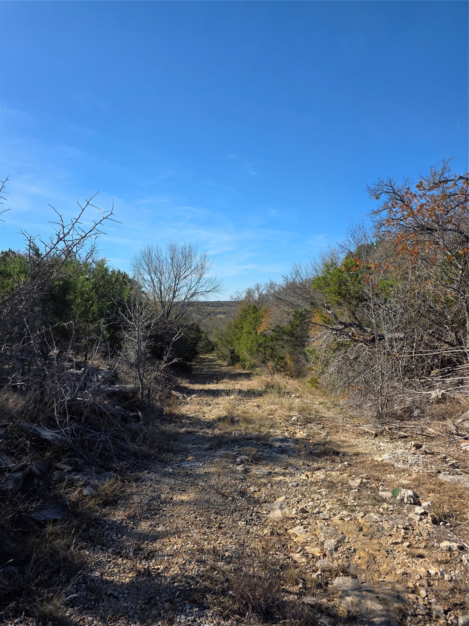 242.442 Acres Mc Clure Ranch Road Gordon TX 76453