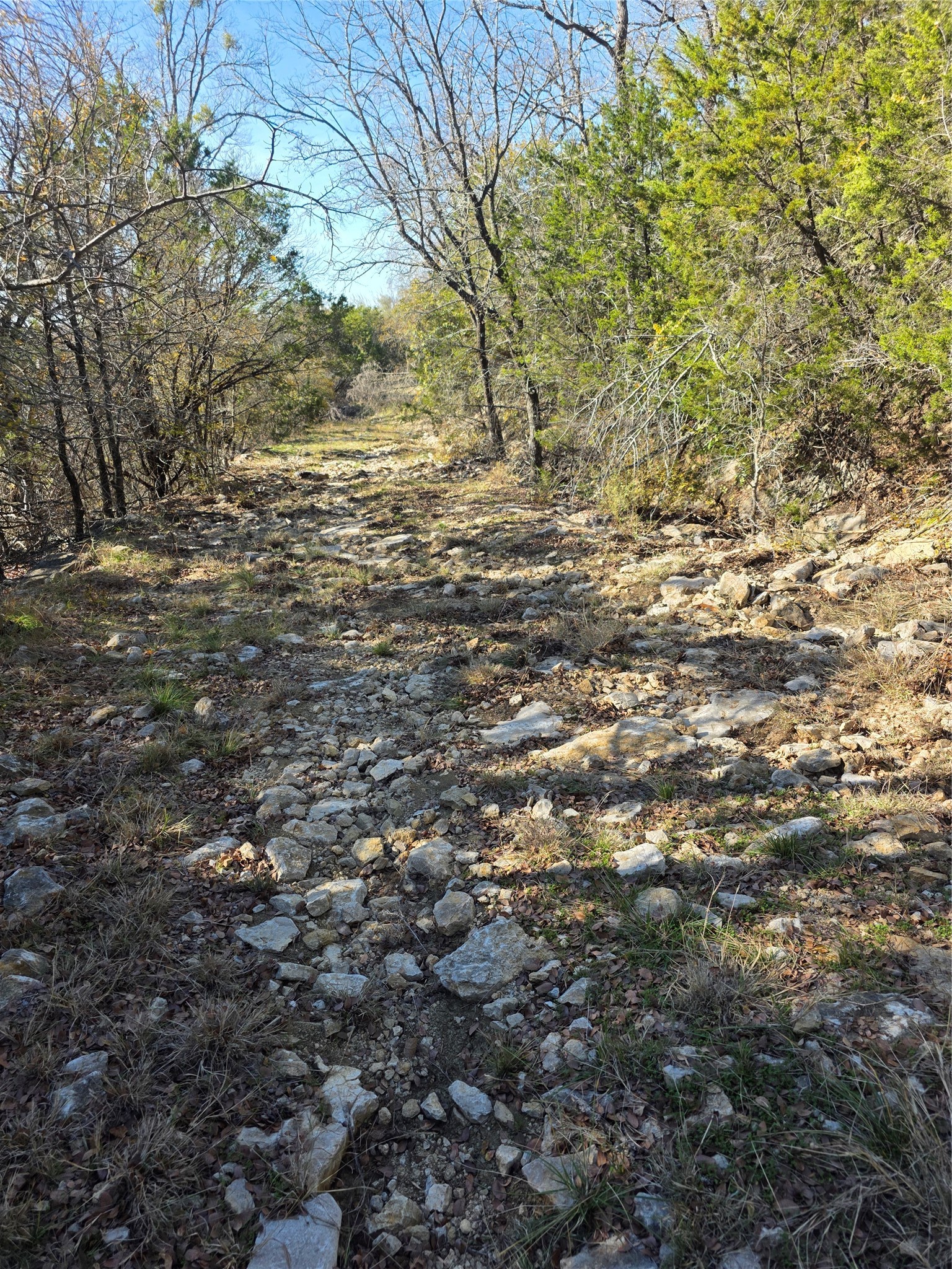 242.442 Acres Mc Clure Ranch Road Gordon TX 76453