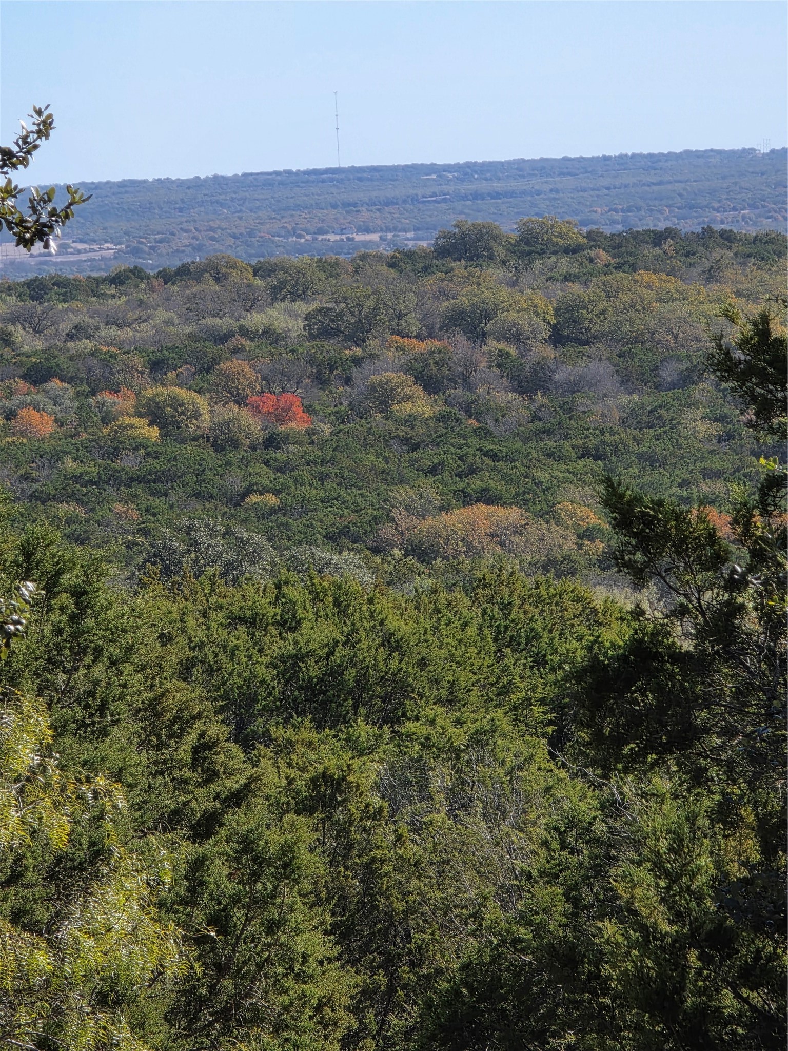 242.442 Acres Mc Clure Ranch Road Gordon TX 76453