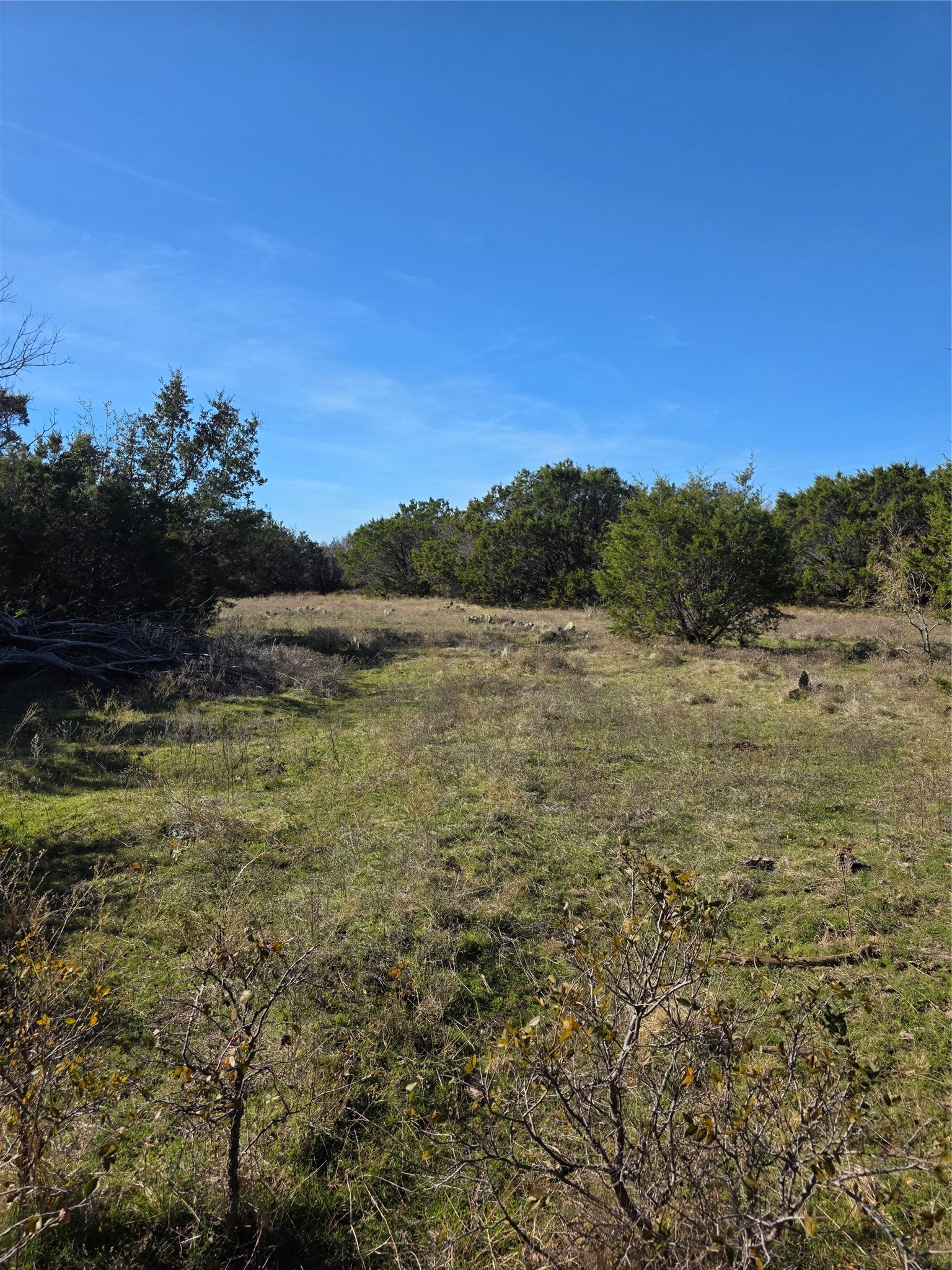 242.442 Acres Mc Clure Ranch Road Gordon TX 76453