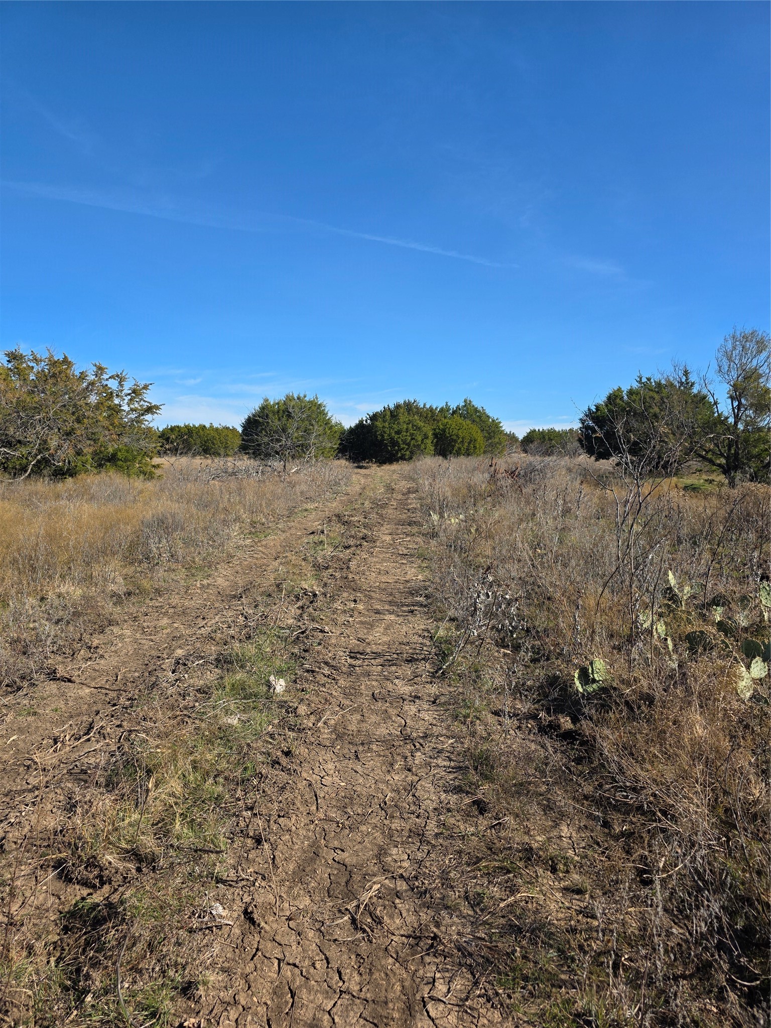 242.442 Acres Mc Clure Ranch Road Gordon TX 76453
