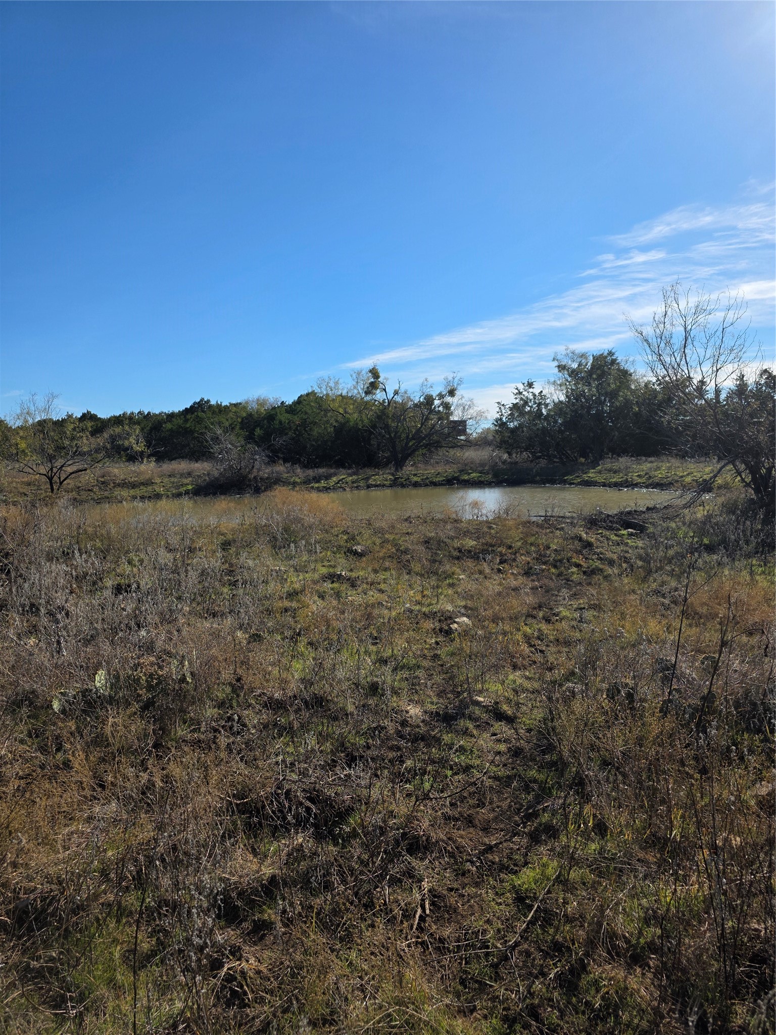 242.442 Acres Mc Clure Ranch Road Gordon TX 76453