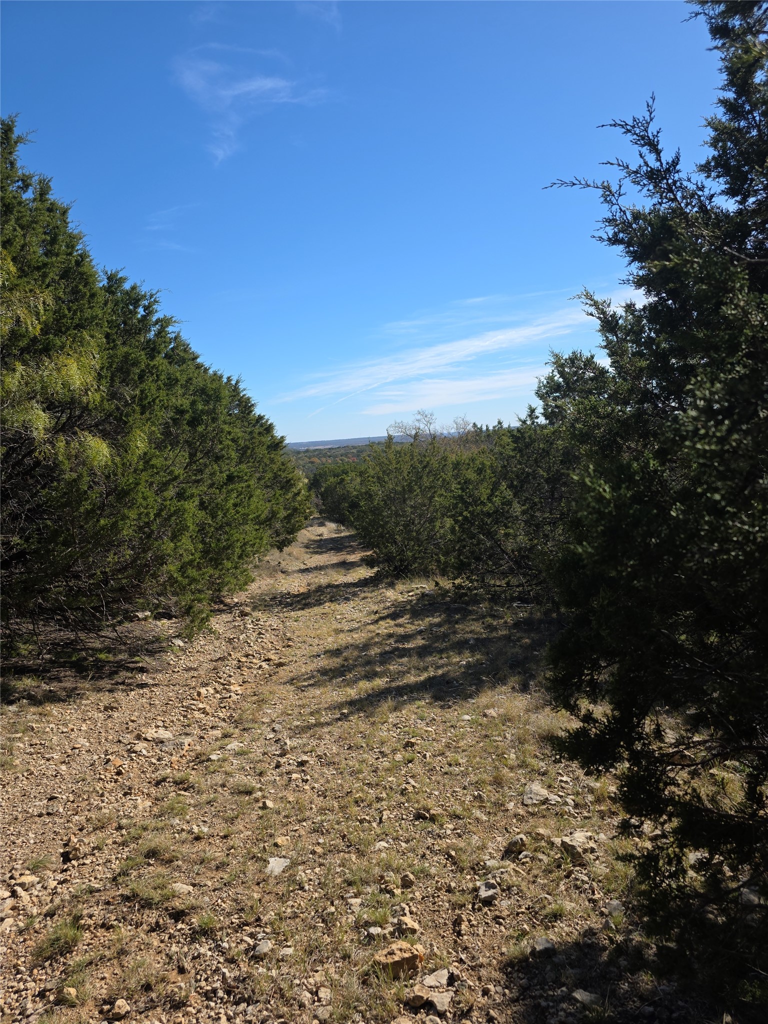 242.442 Acres Mc Clure Ranch Road Gordon TX 76453