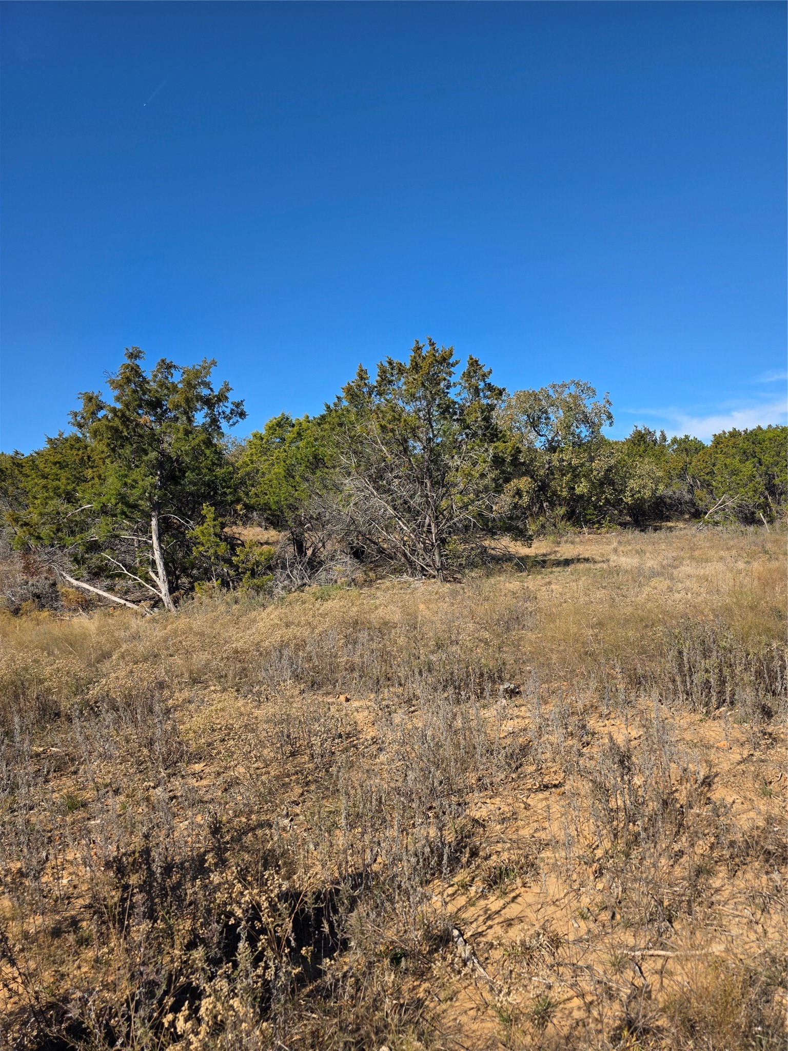 242.442 Acres Mc Clure Ranch Road Gordon TX 76453
