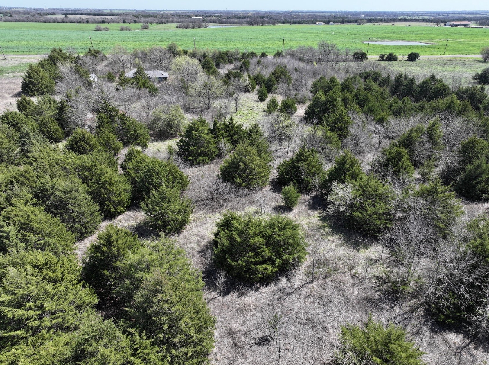 4058 Fm 981 Leonard TX 75452