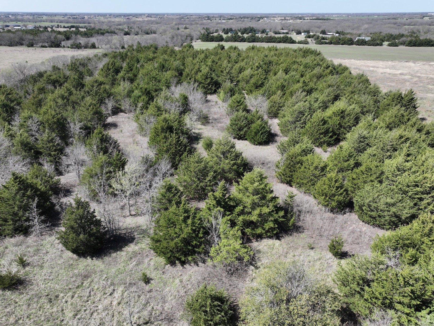 4058 Fm 981 Leonard TX 75452