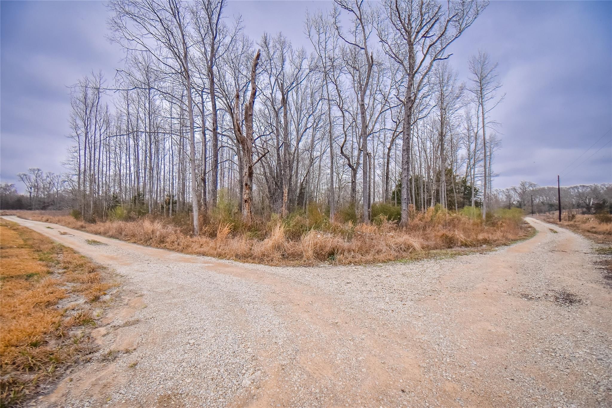Tbd Pr 8903 Athens TX 75752