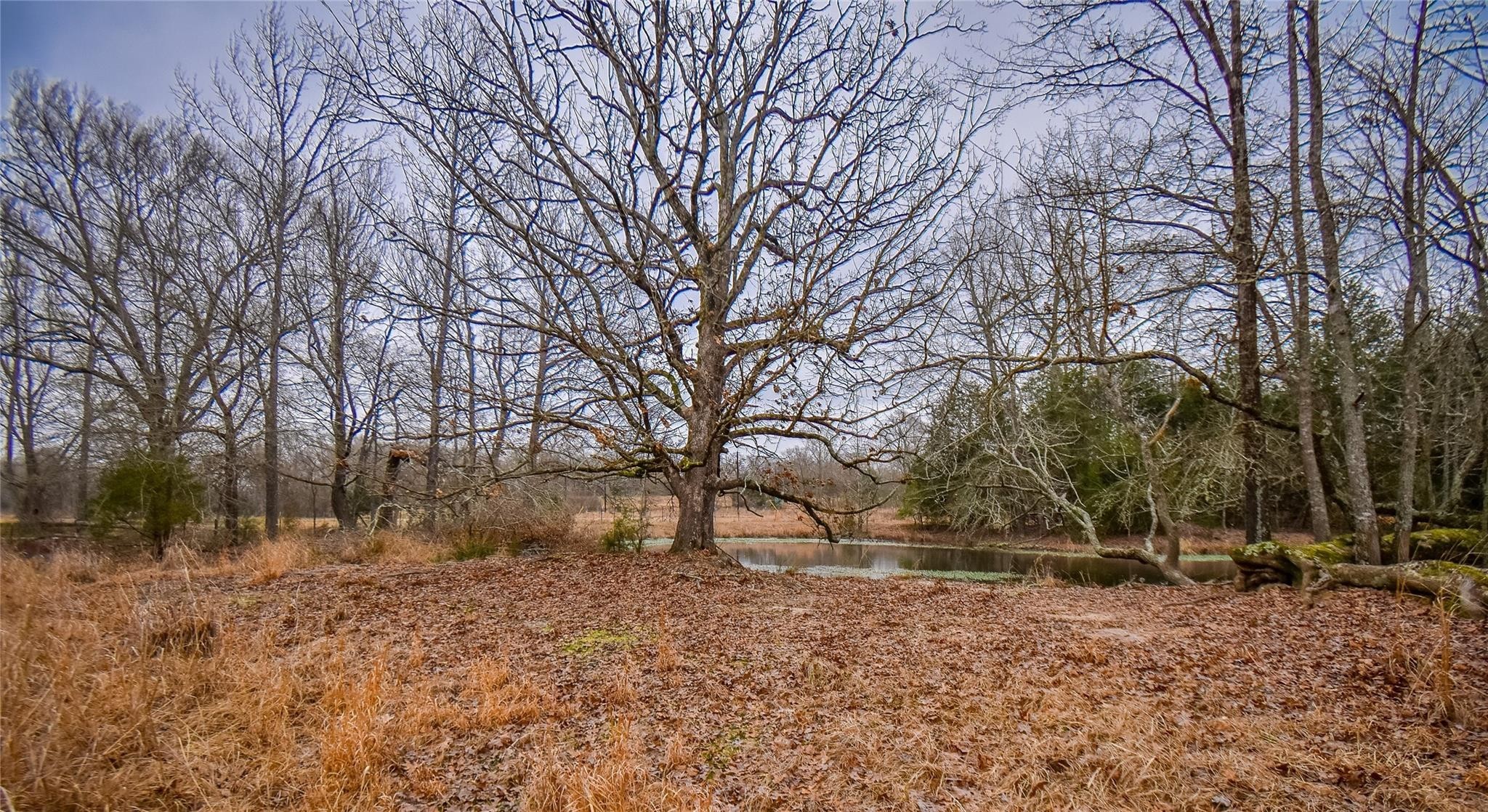 Tbd Pr 8903 Athens TX 75752