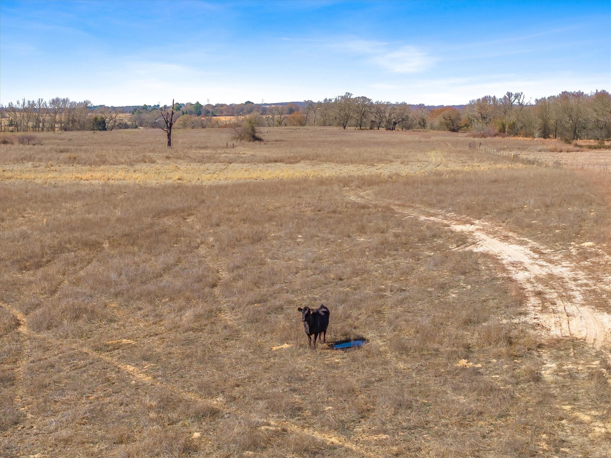 Tbd Vz County Road 2317 Tract 3 Canton TX 75103