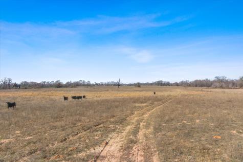 Tbd Vz County Road 2317 Tract 3 Canton TX 75103