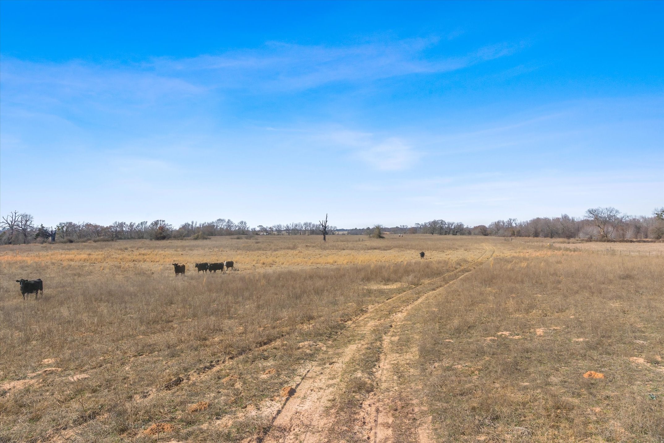 Tbd Vz County Road 2317 Tract 3 Canton TX 75103