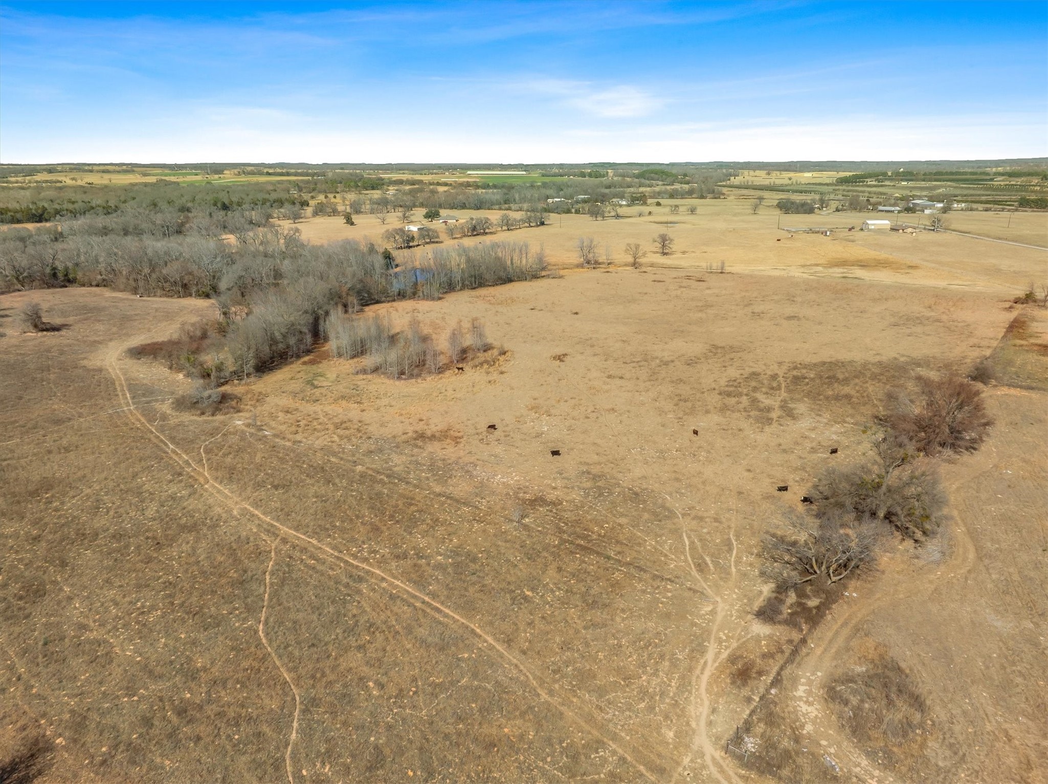 Tbd Vz County Road 2317 Tract 3 Canton TX 75103