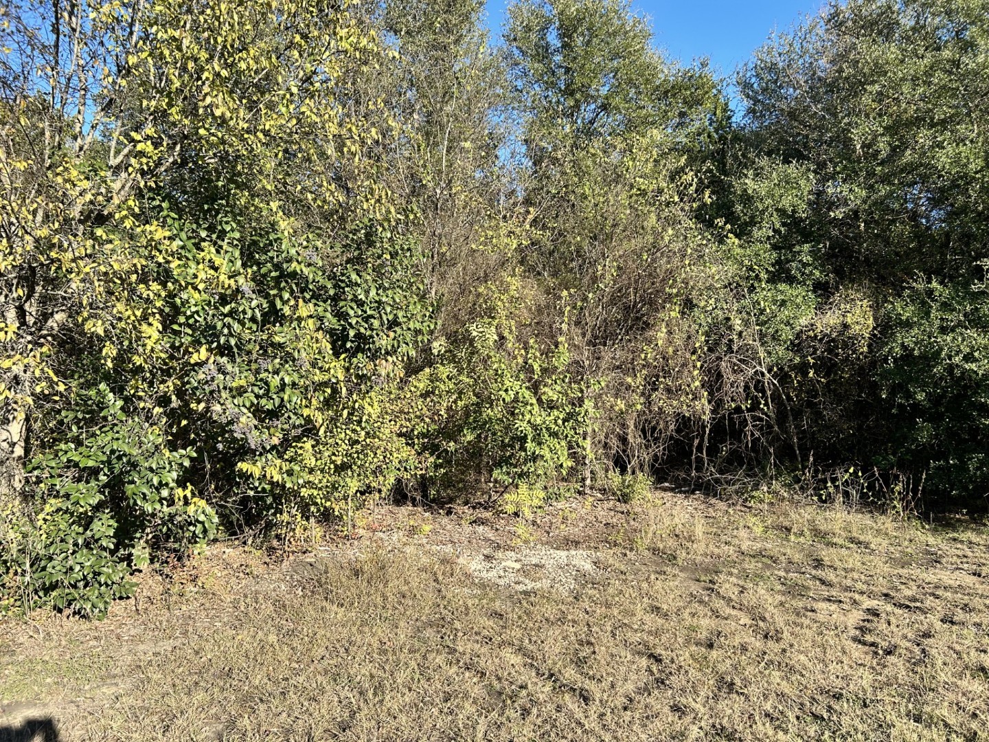 Lots 734-735 Cherry Road Whitney TX 76692