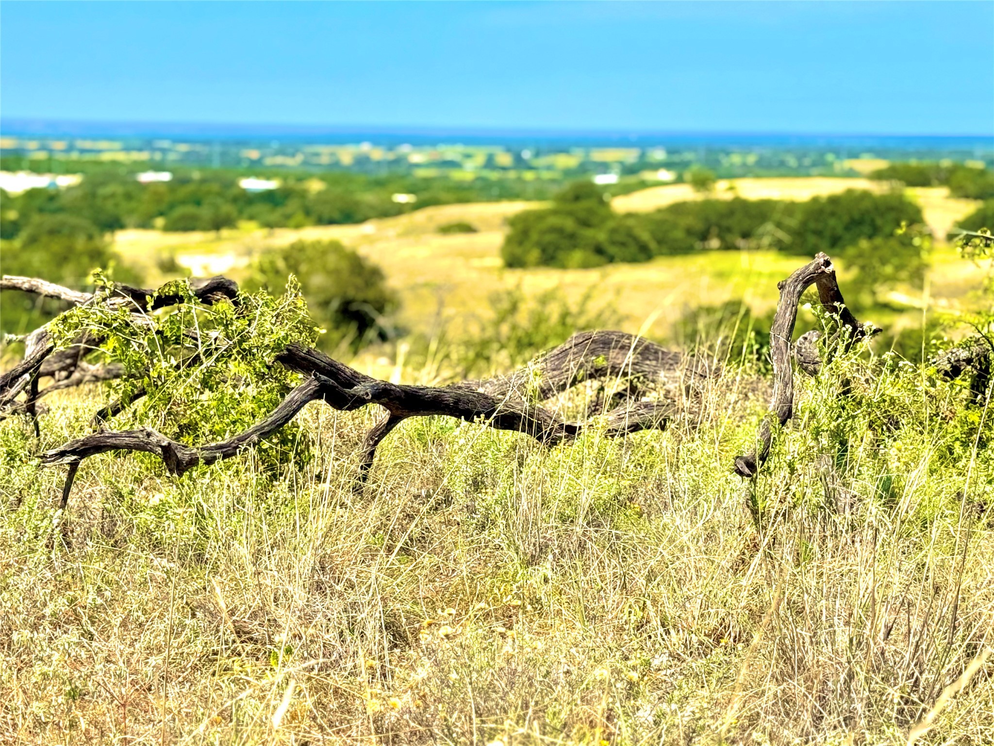 80 E Fm 572 Goldthwaite TX 76844