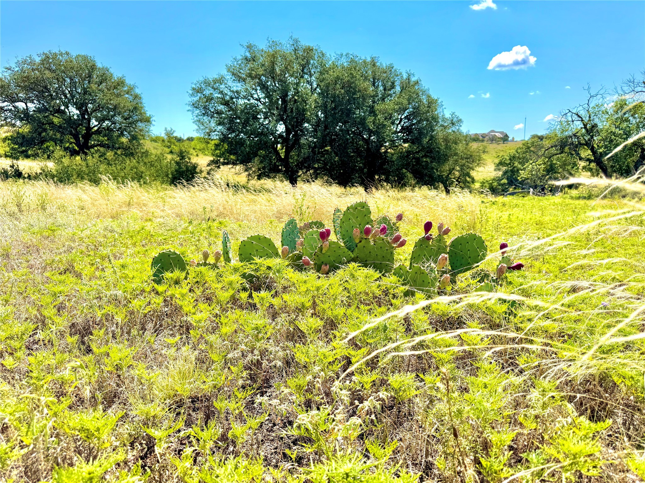 80 E Fm 572 Goldthwaite TX 76844