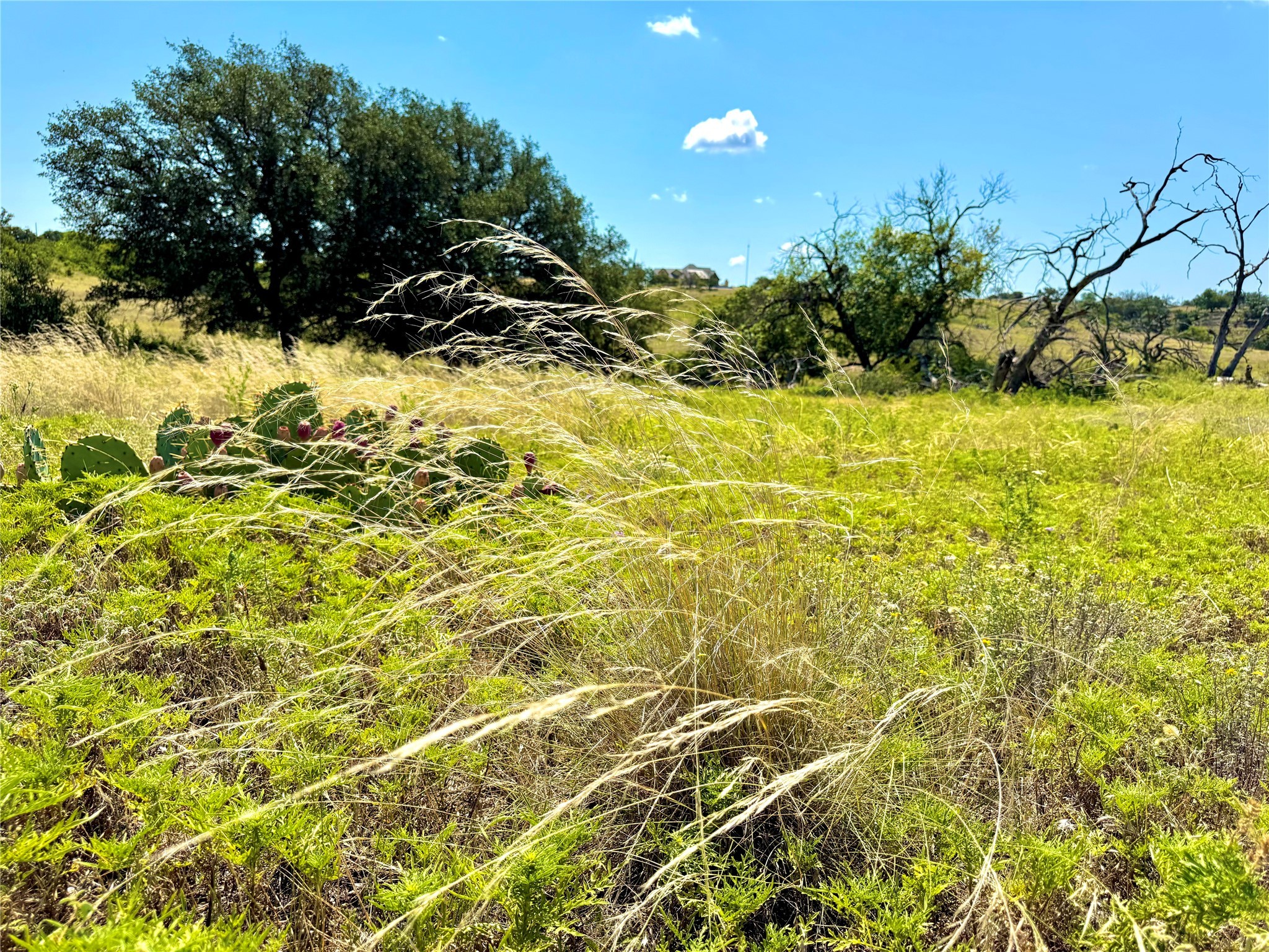80 E Fm 572 Goldthwaite TX 76844