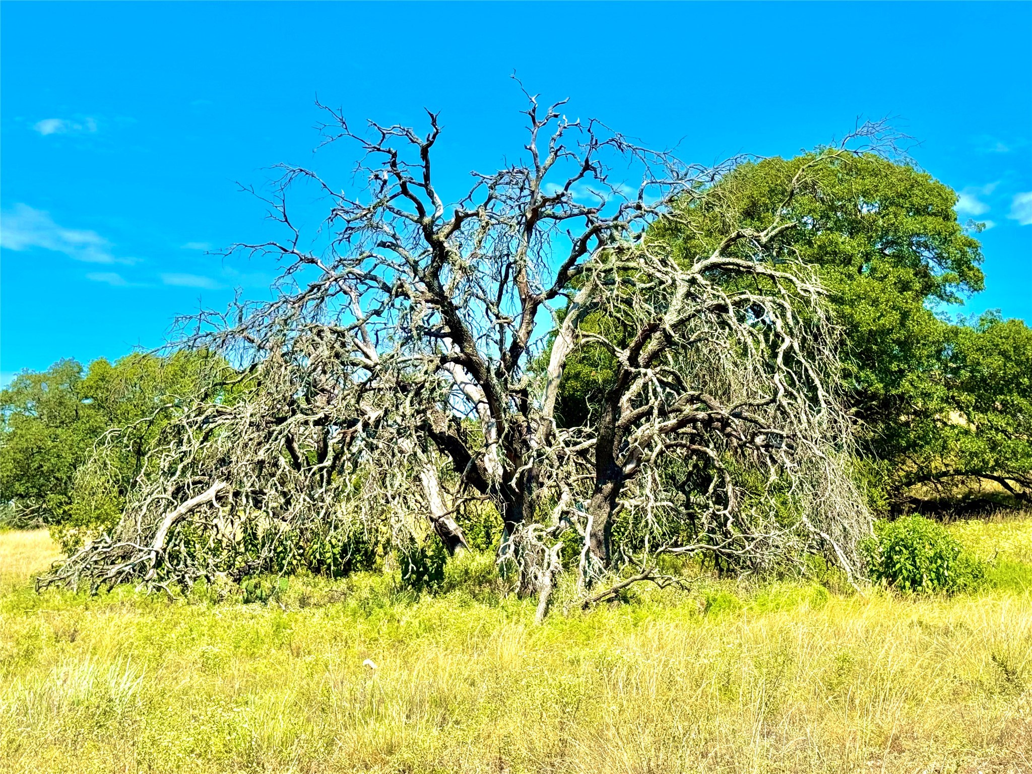 80 E Fm 572 Goldthwaite TX 76844