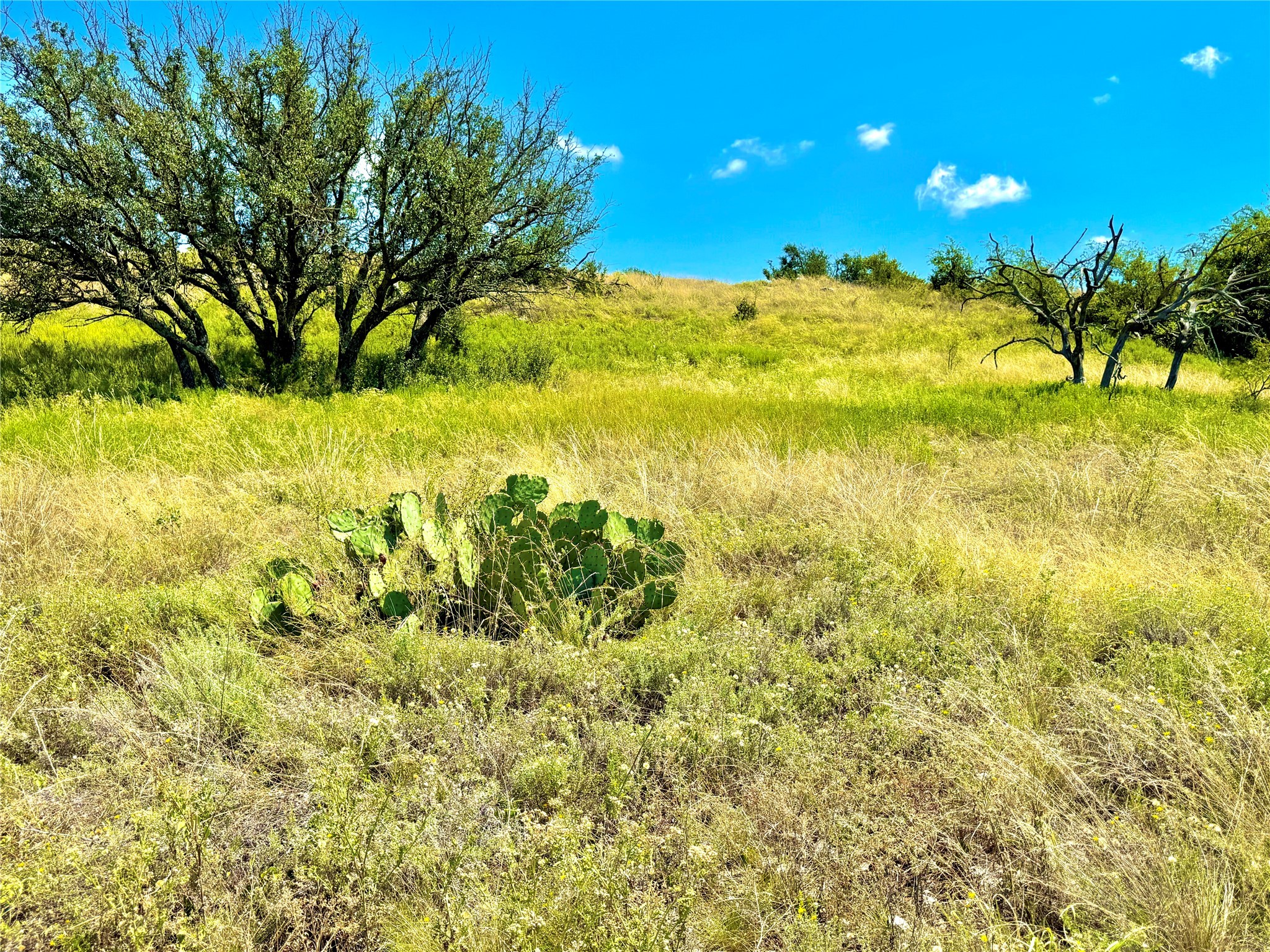 80 E Fm 572 Goldthwaite TX 76844
