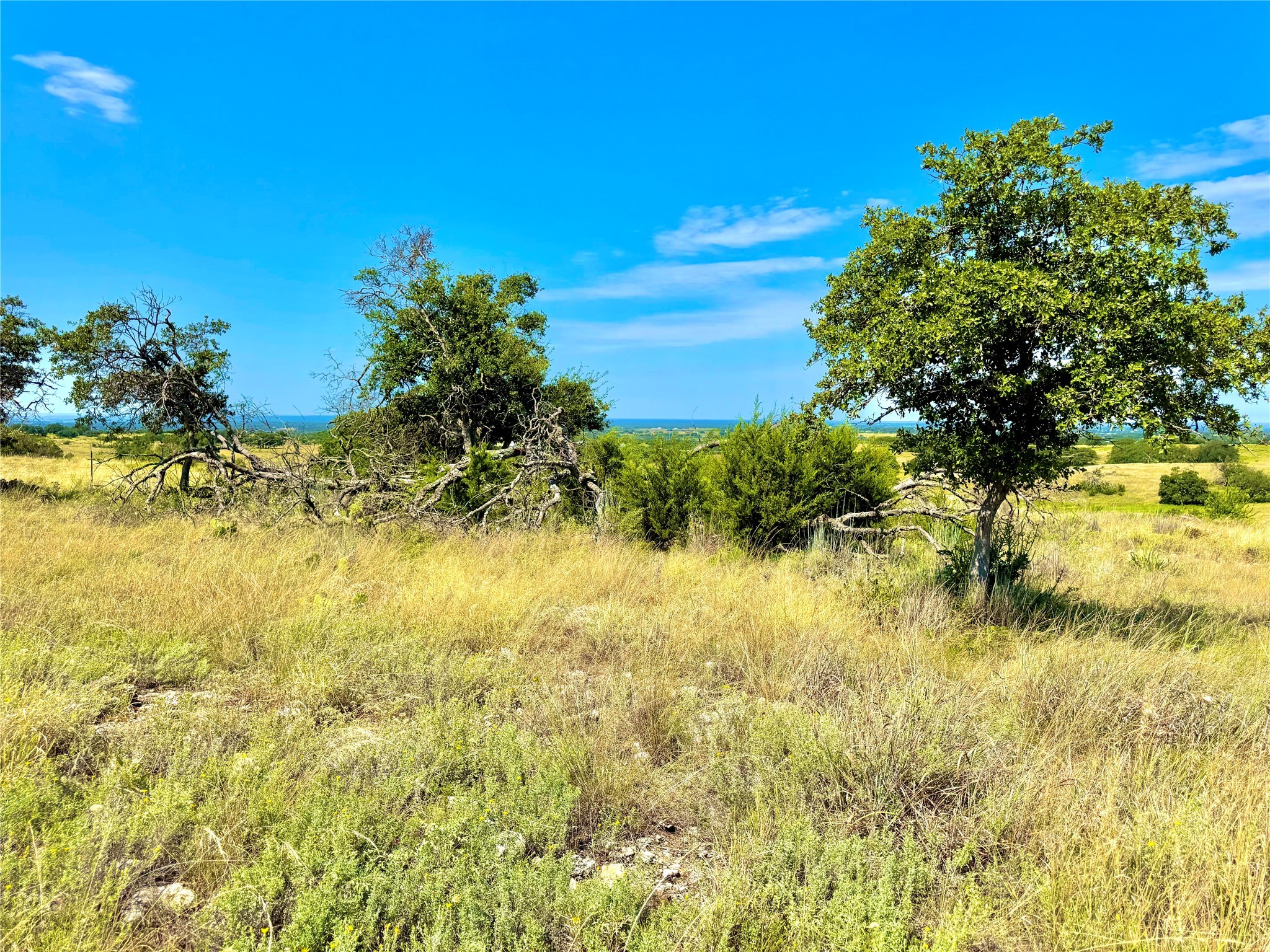 80 E Fm 572 Goldthwaite TX 76844