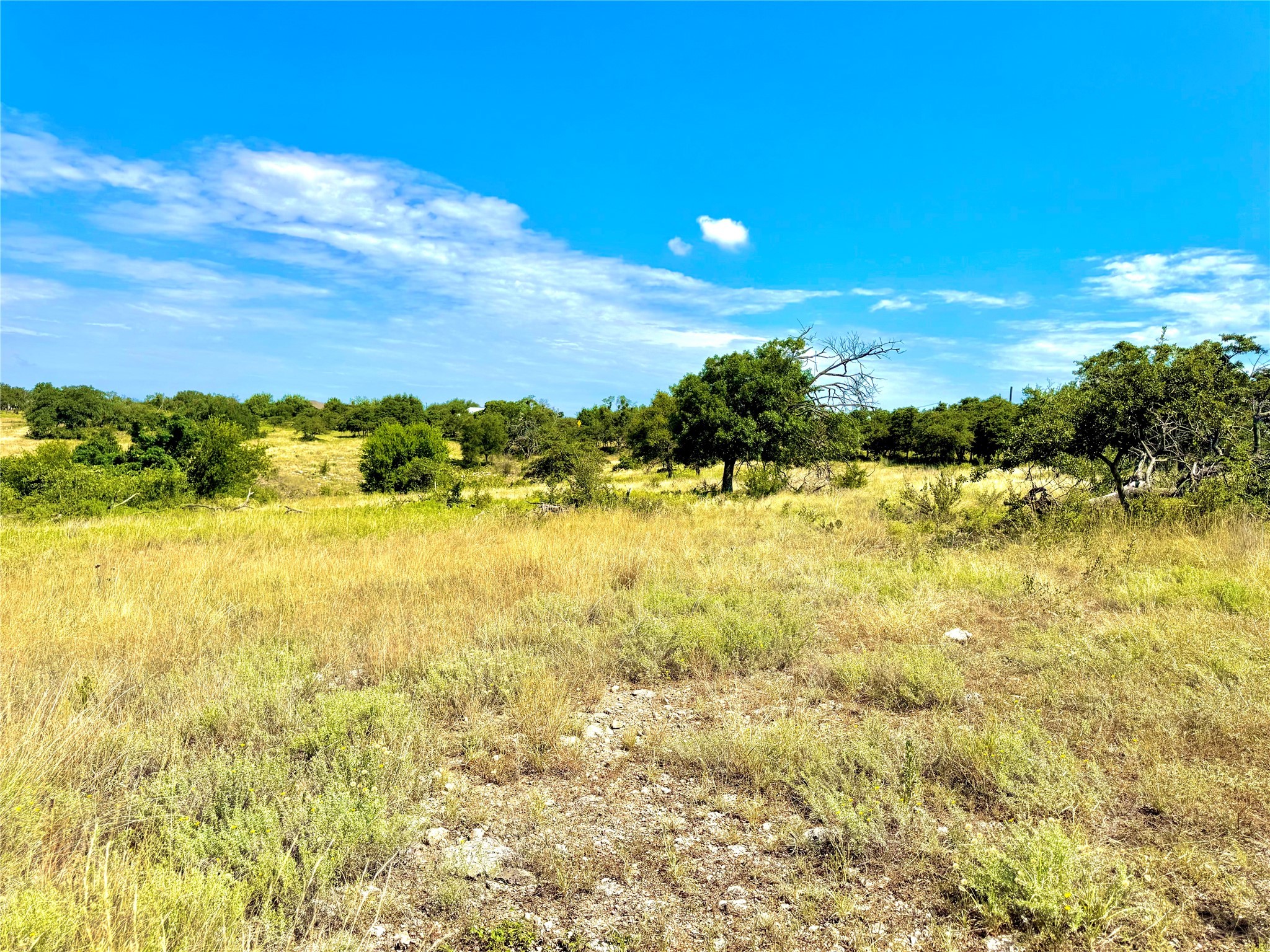 80 E Fm 572 Goldthwaite TX 76844