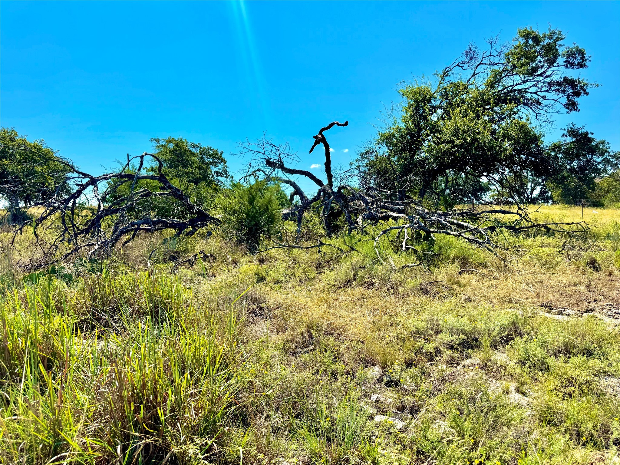 80 E Fm 572 Goldthwaite TX 76844