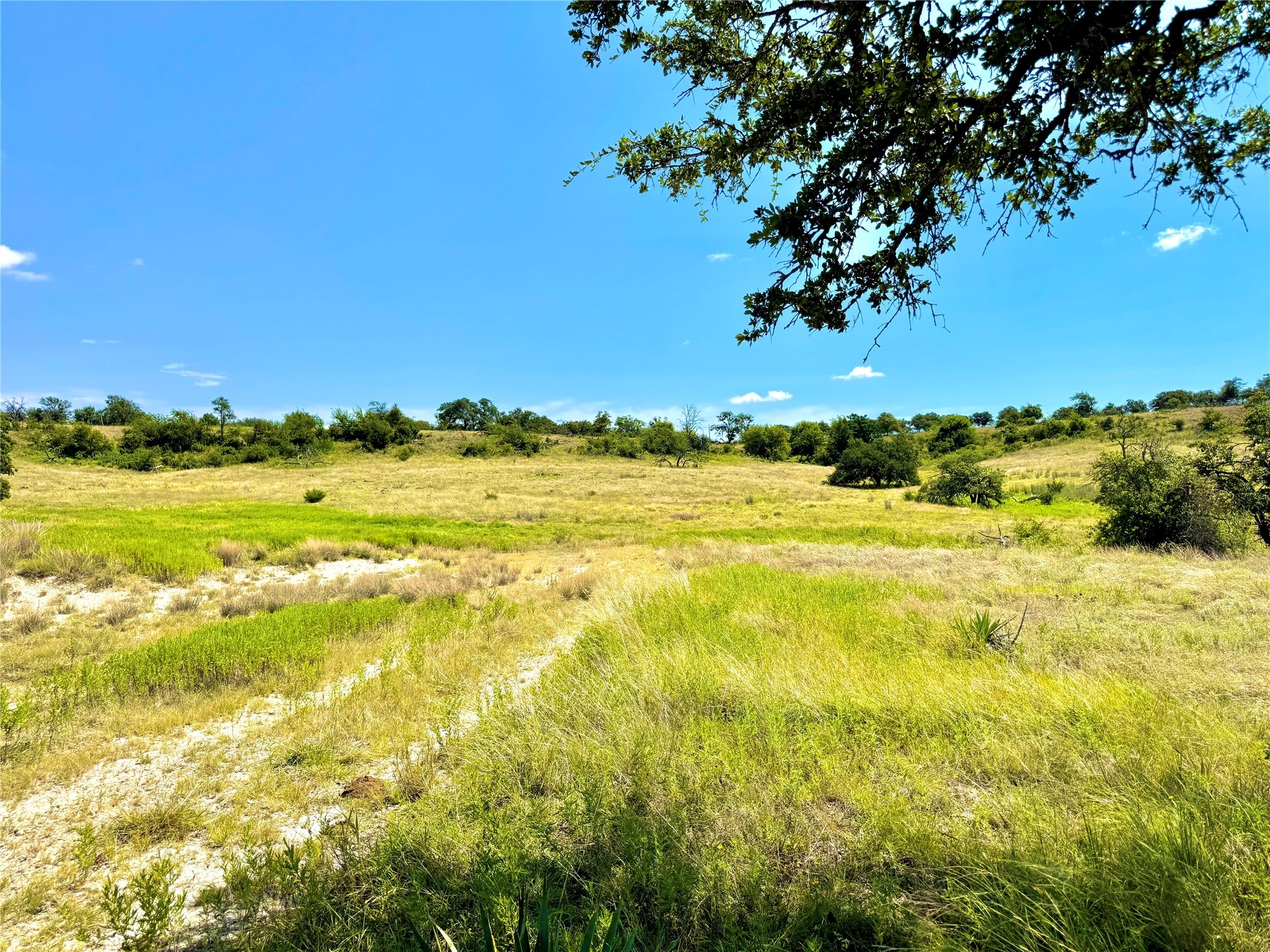 80 E Fm 572 Goldthwaite TX 76844