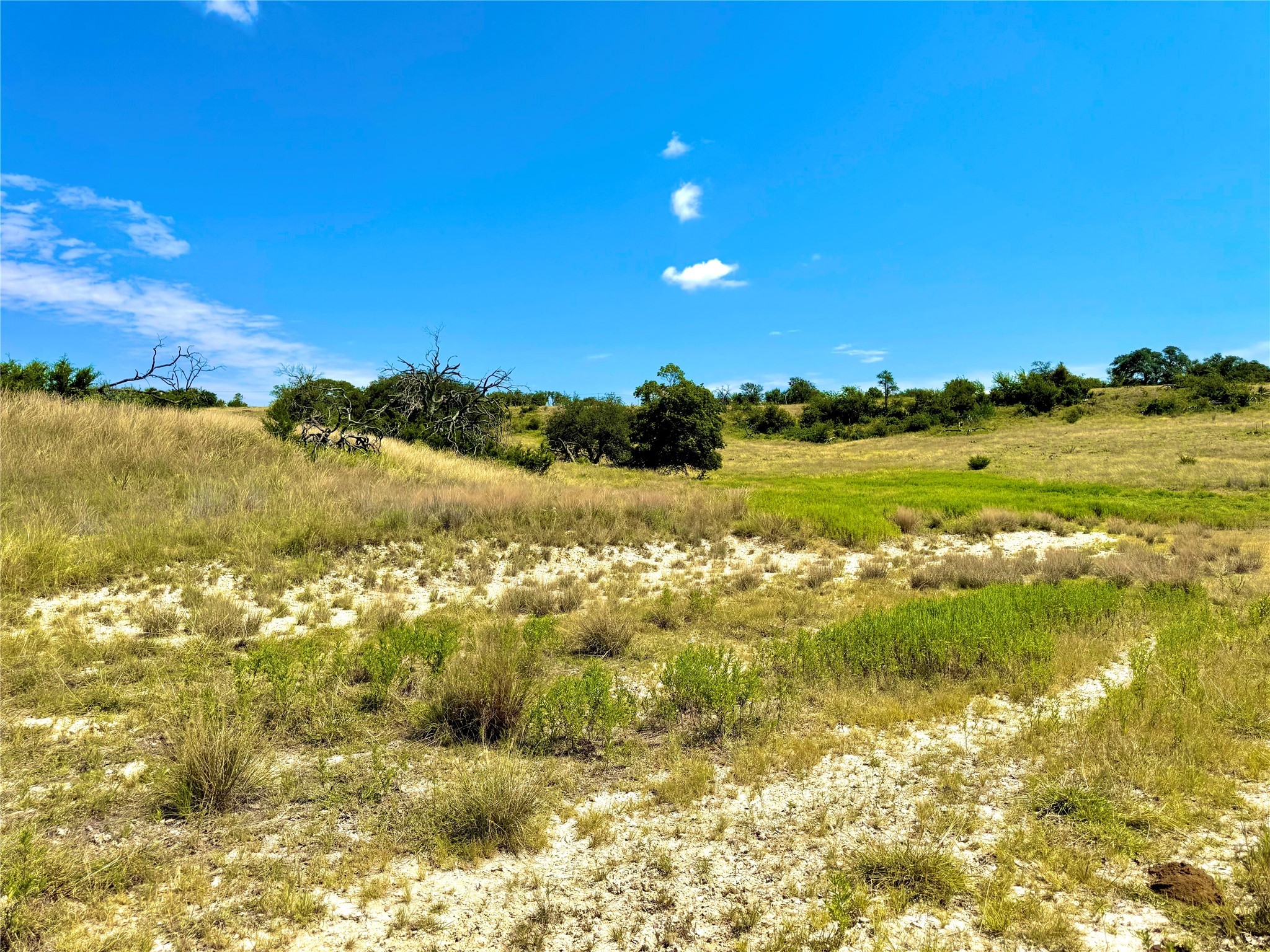 80 E Fm 572 Goldthwaite TX 76844