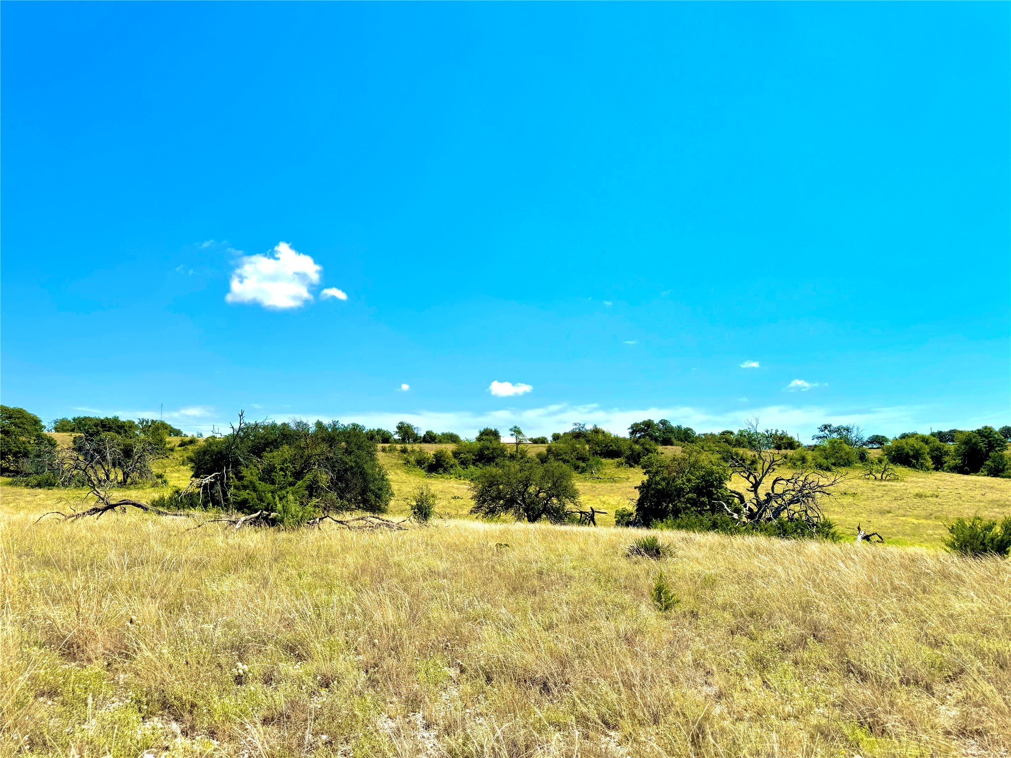 80 E Fm 572 Goldthwaite TX 76844