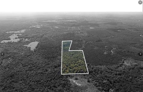 TBD County Road 1582 Avinger TX 75630