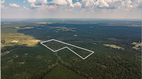 TBD County Road 1582 Avinger TX 75630