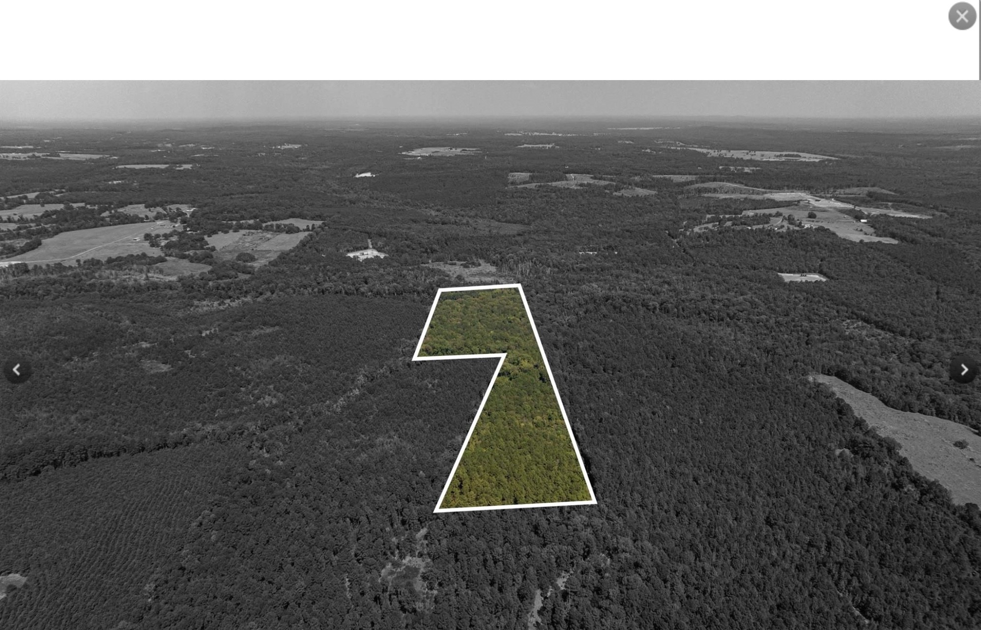Tbd County Road 1582 Avinger TX 75630