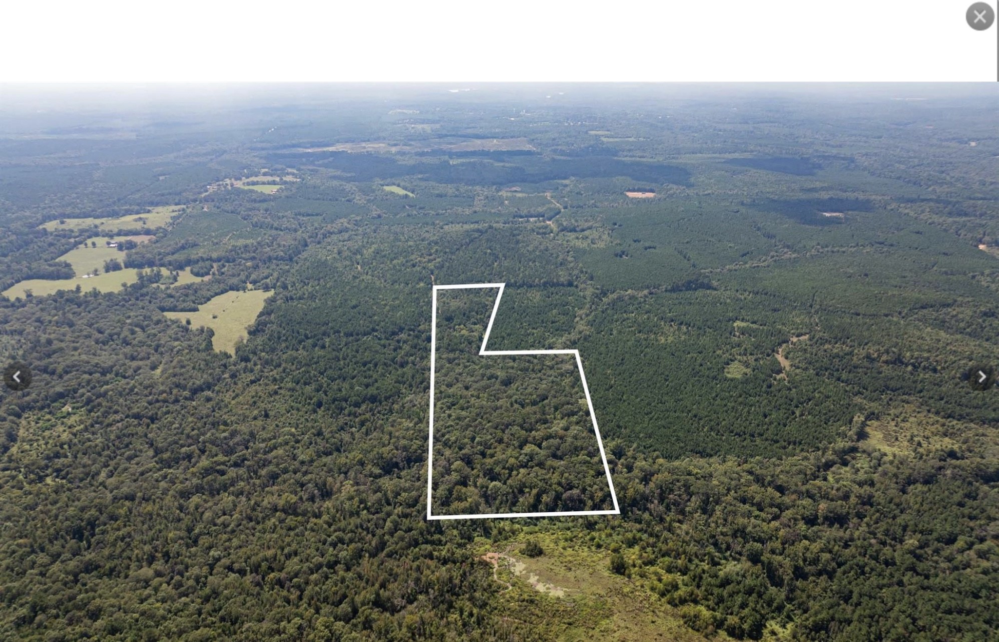 Tbd County Road 1582 Avinger TX 75630