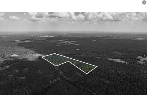 Tbd County Road 1582 Avinger TX 75630