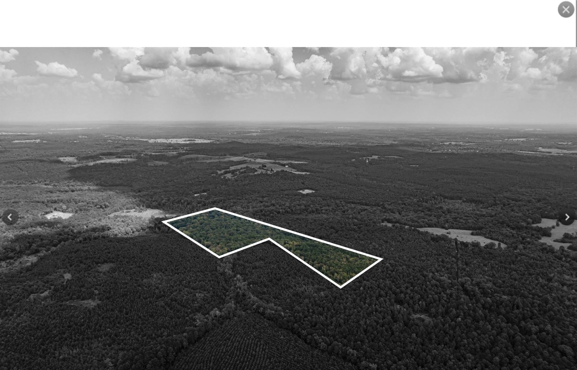 Tbd County Road 1582 Avinger TX 75630