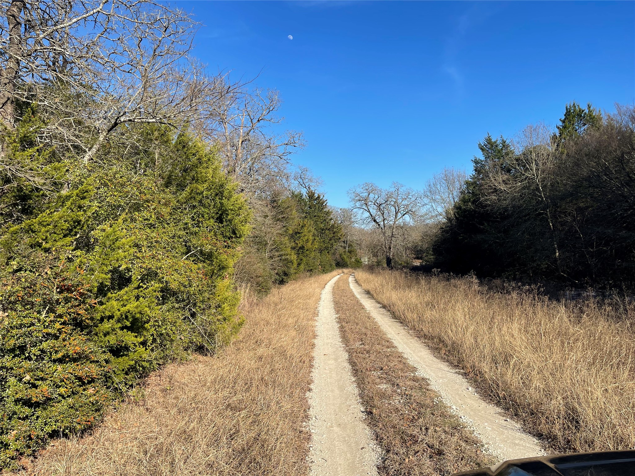 Tbd Fm 553 Teague TX 75860