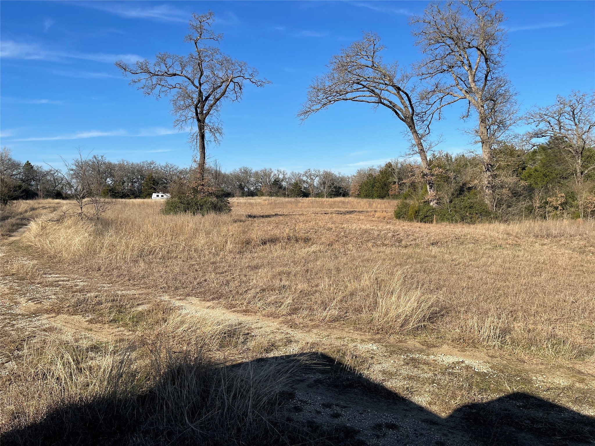 Tbd Fm 553 Teague TX 75860