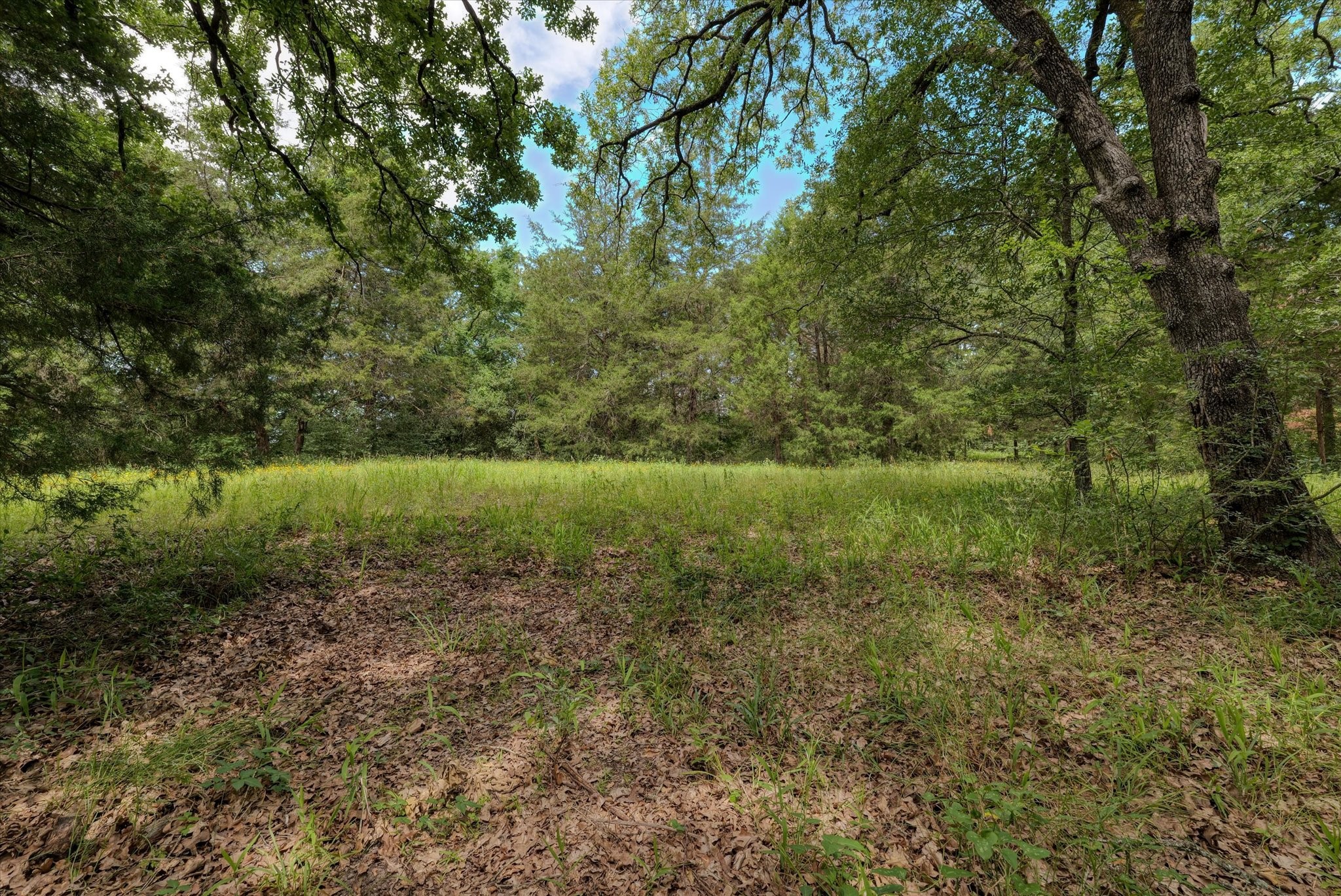 263 W Fm 27 Highway Fairfield TX 75840