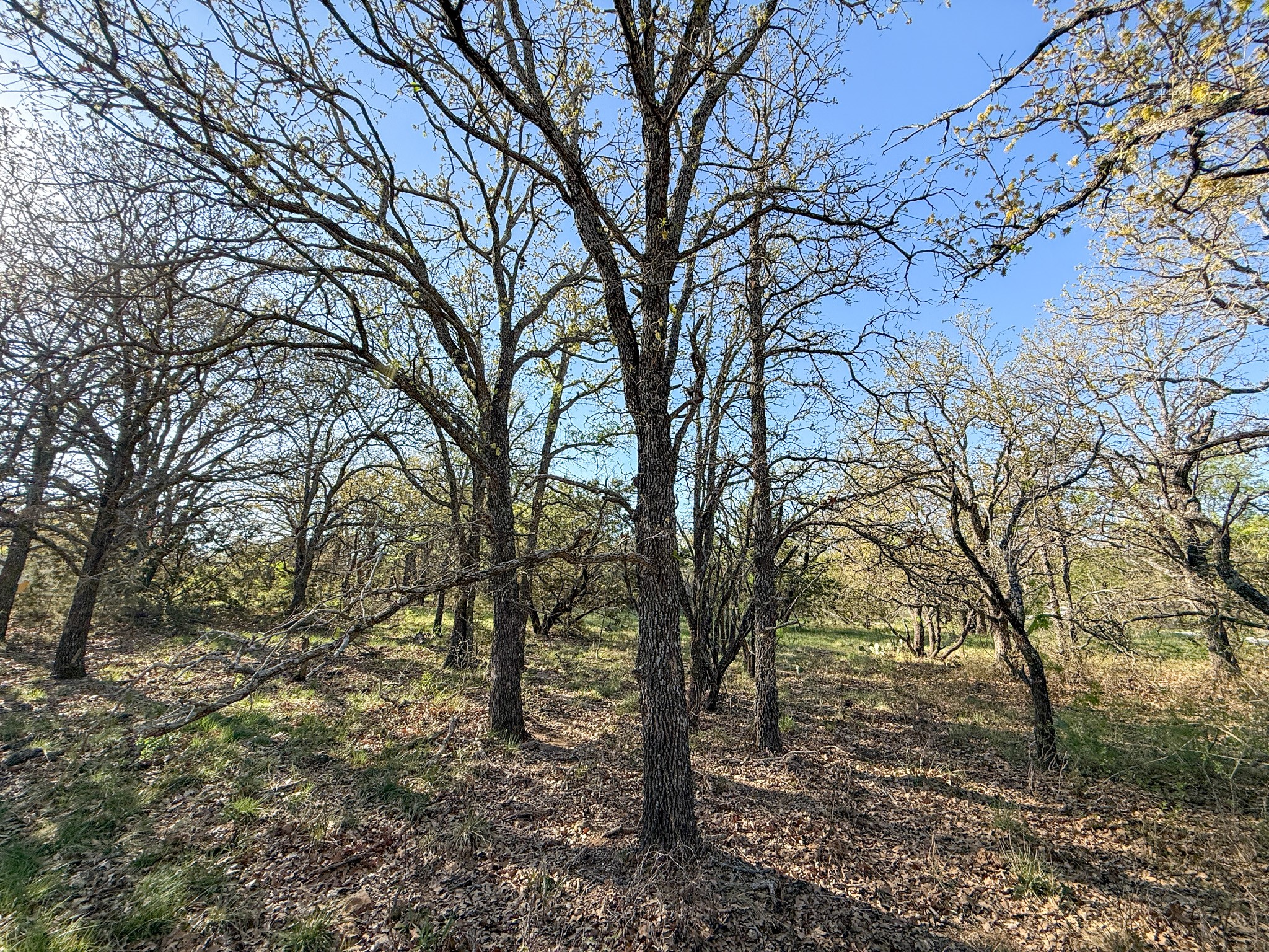 4909 Barton Chapel Road Jacksboro TX 76458