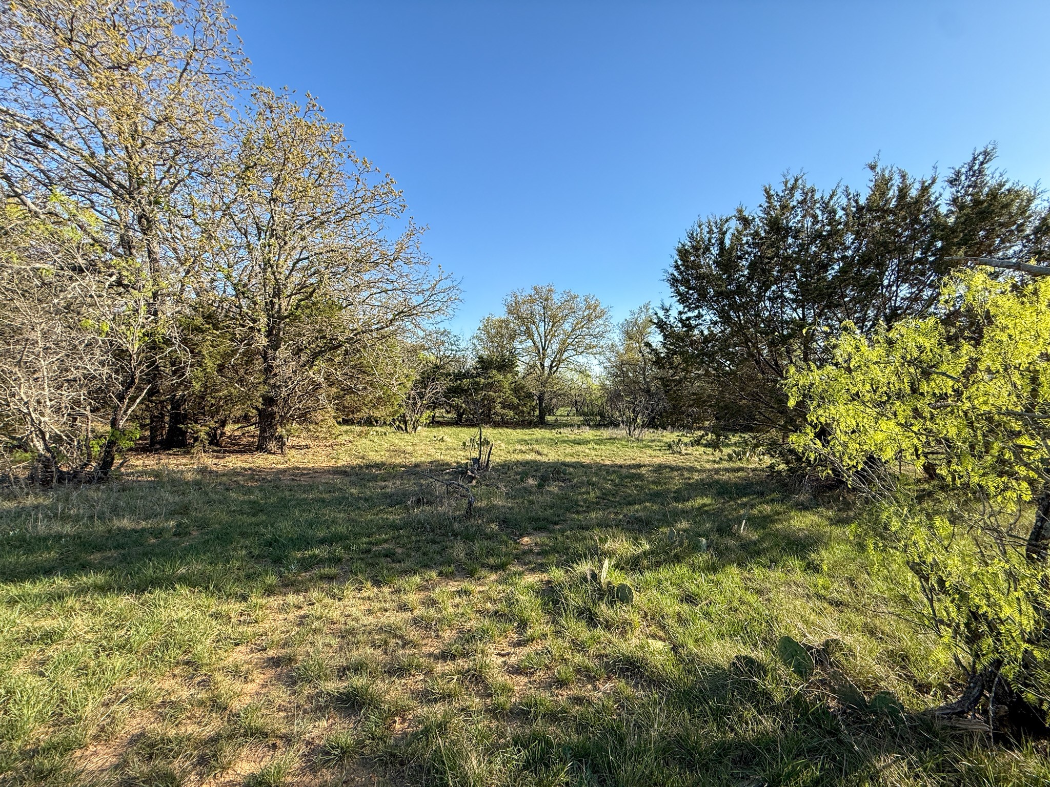 4909 Barton Chapel Road Jacksboro TX 76458